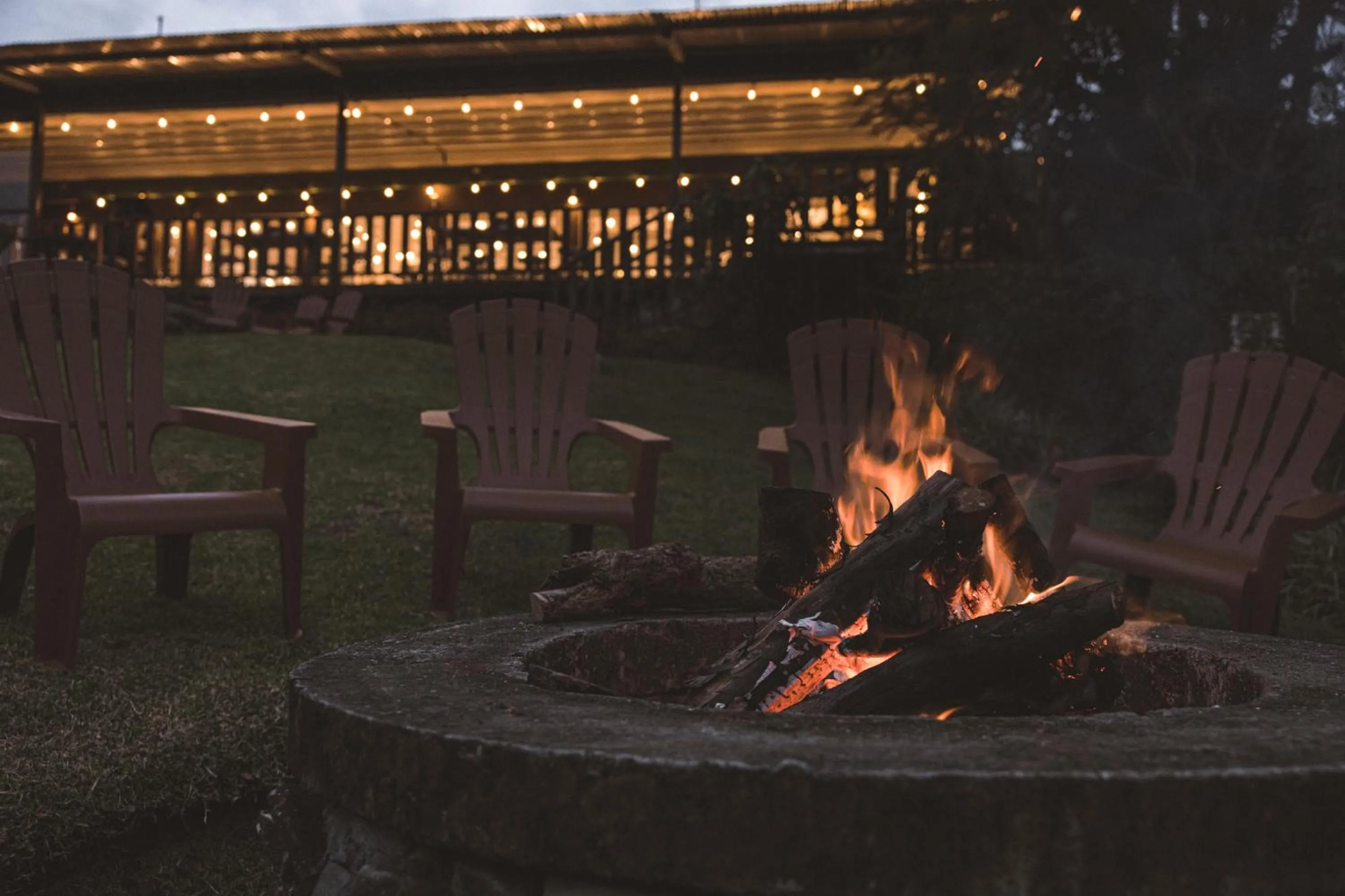 Garden in Hotel Finca Lerida Coffee Plantation and Boutique Hotel