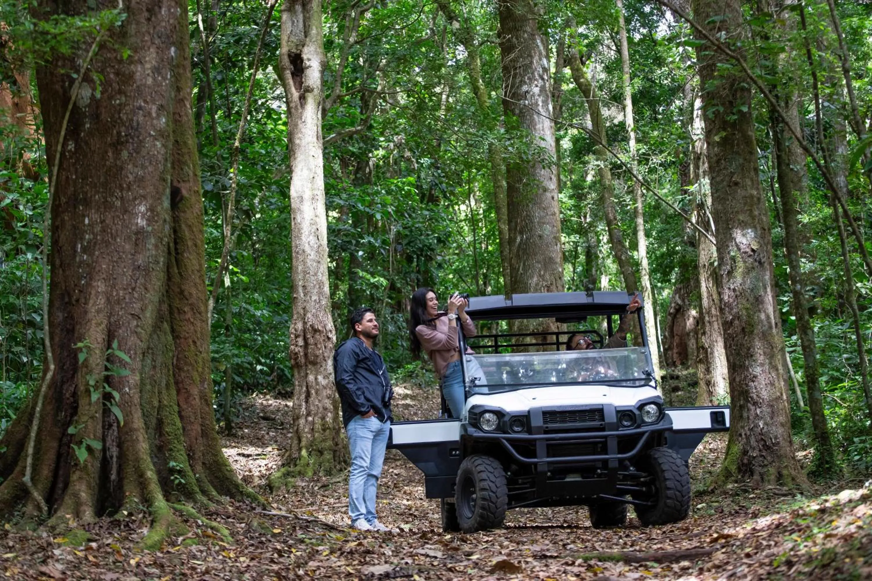Natural landscape in Hotel Finca Lerida Coffee Plantation and Boutique Hotel