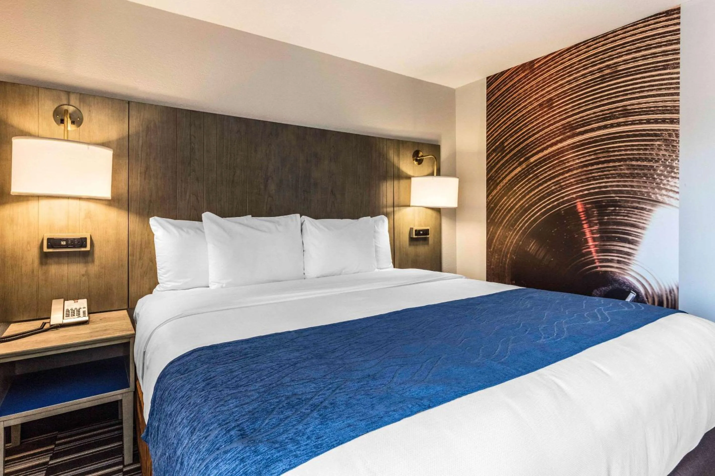 Photo of the whole room, Bed in Comfort Inn Memphis Airport West