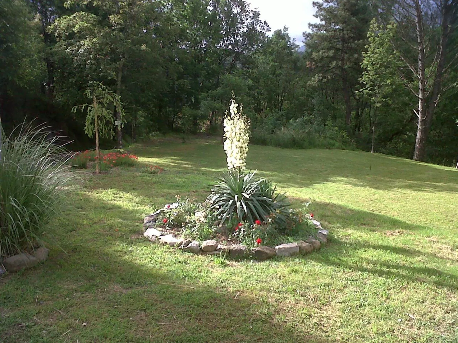 Garden in B&B Oasi Verde
