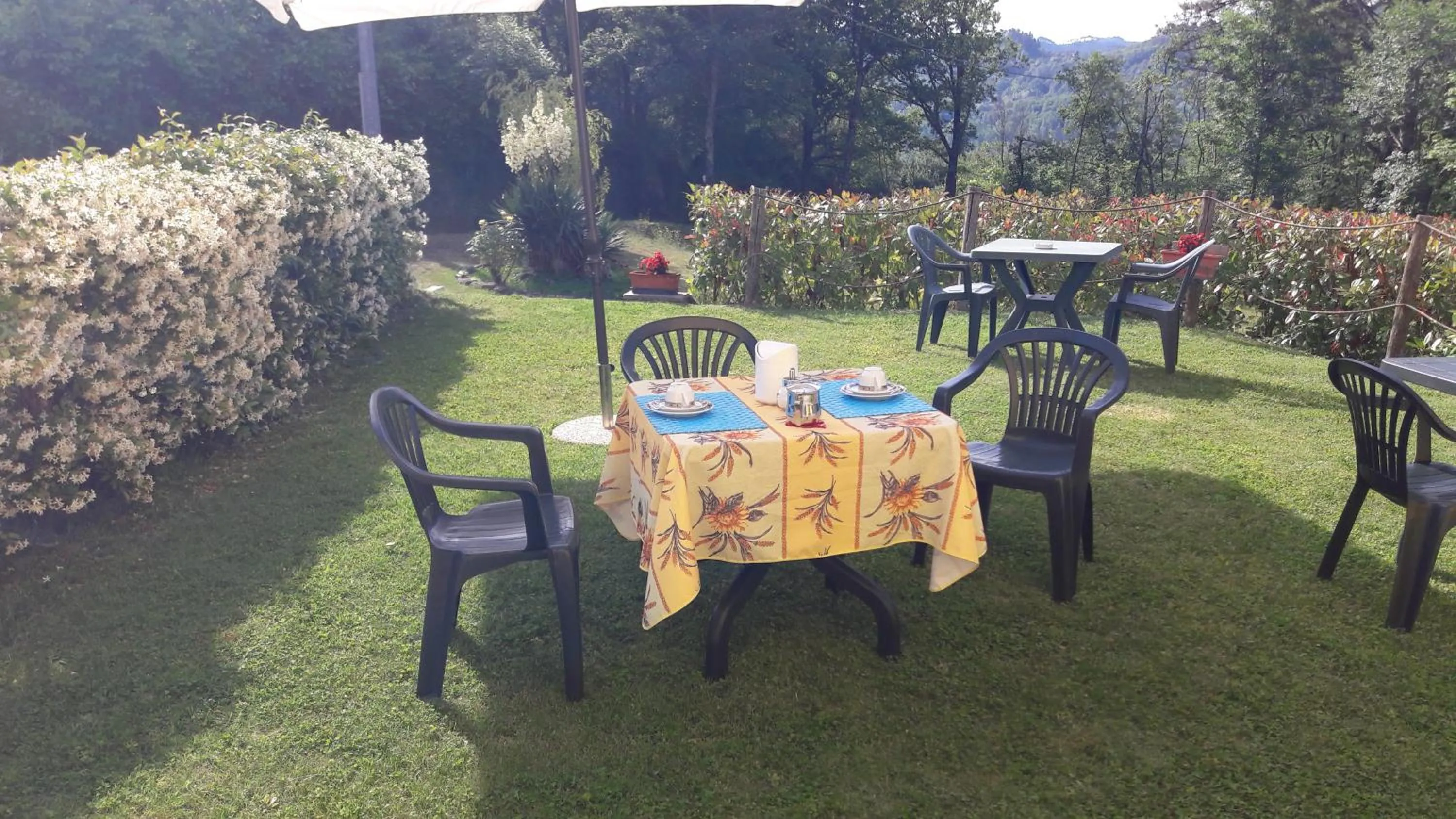 Garden in B&B Oasi Verde