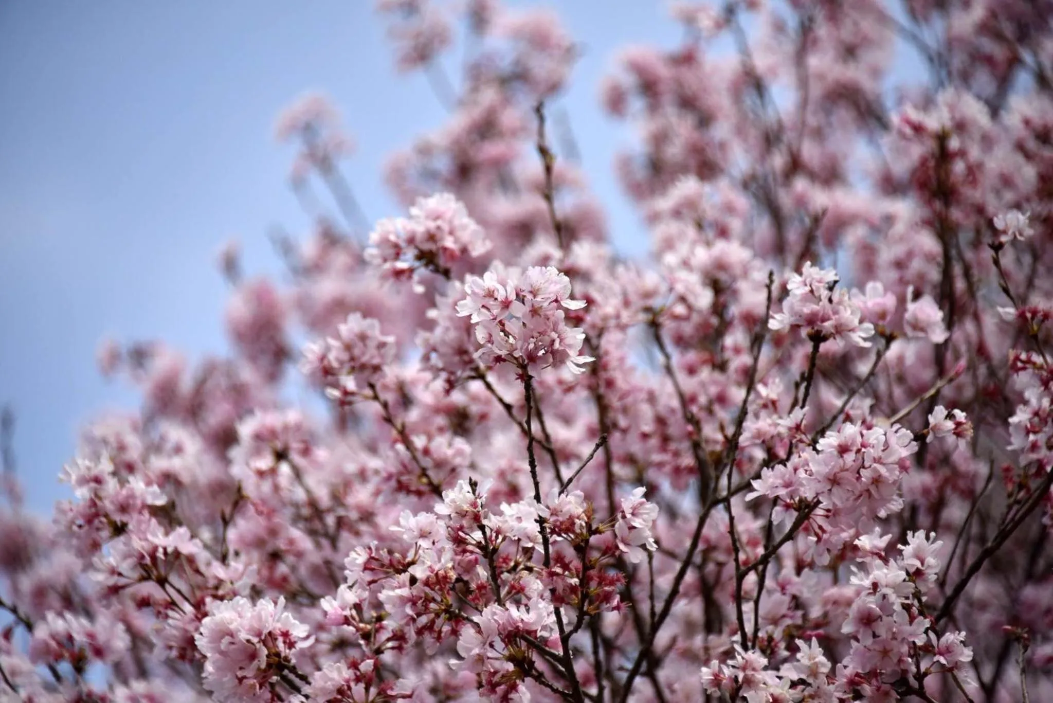 Natural landscape in Sotetsu Fresa Inn Hamamatsucho-Daimon