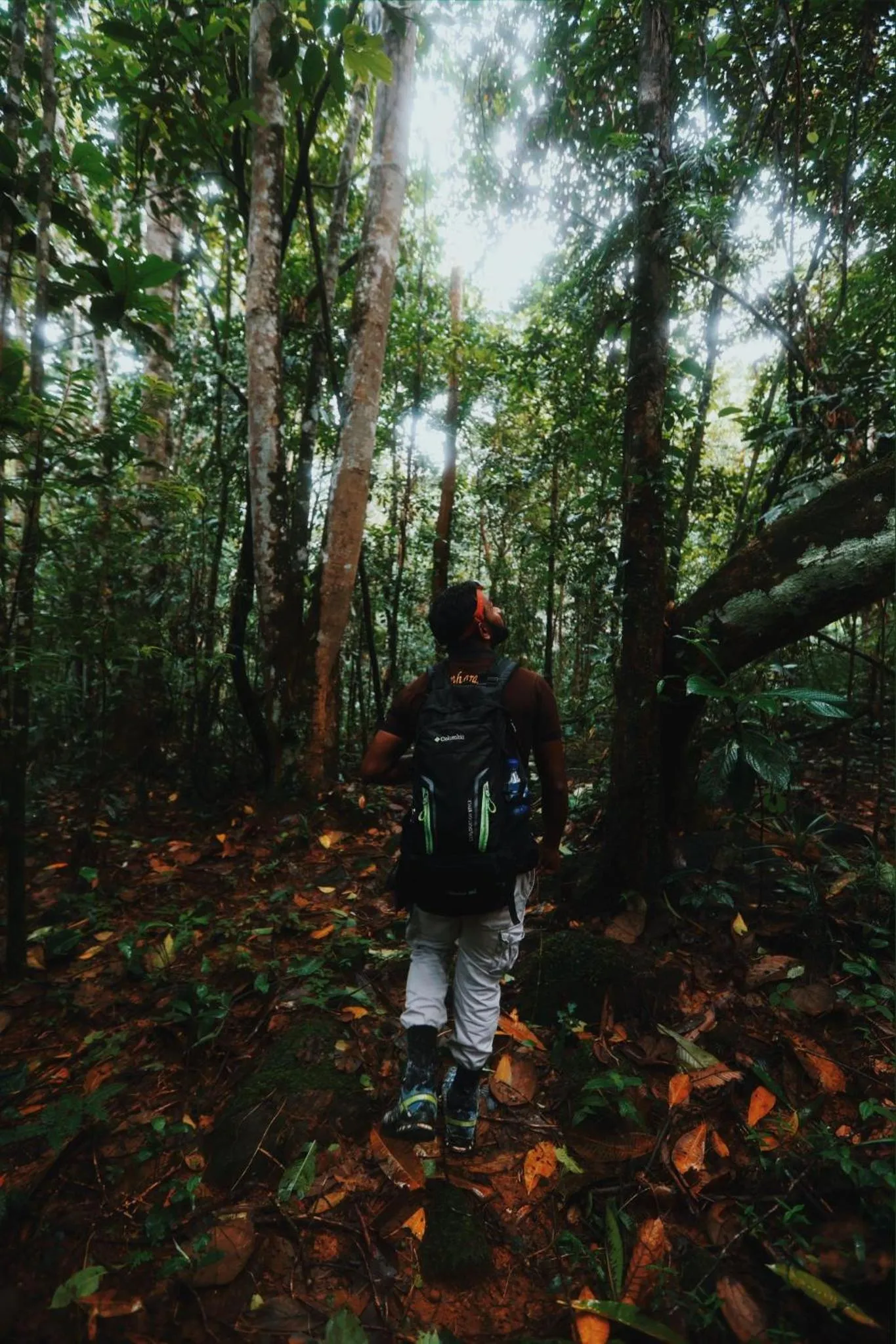 Sinharaja Forest Gate