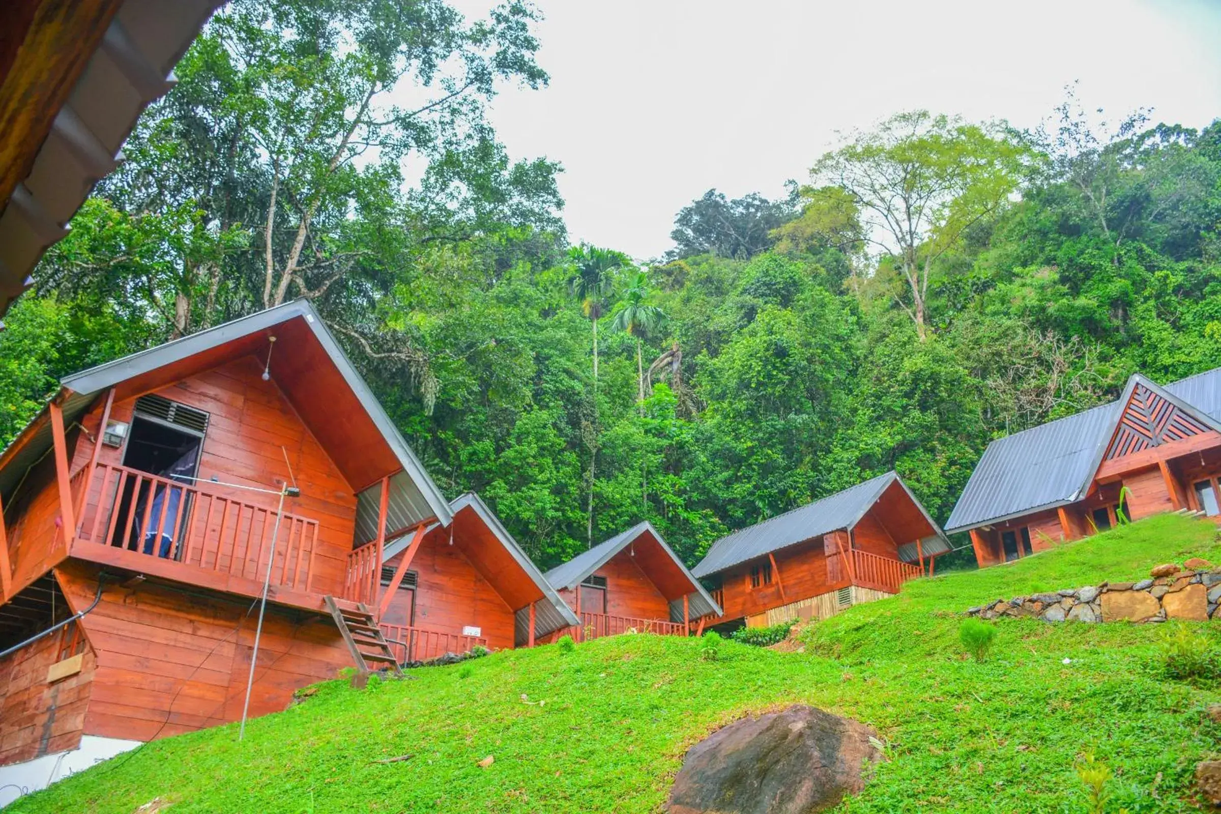 Property building in Sinharaja Forest Gate Property building in Sinharaja Forest Gate