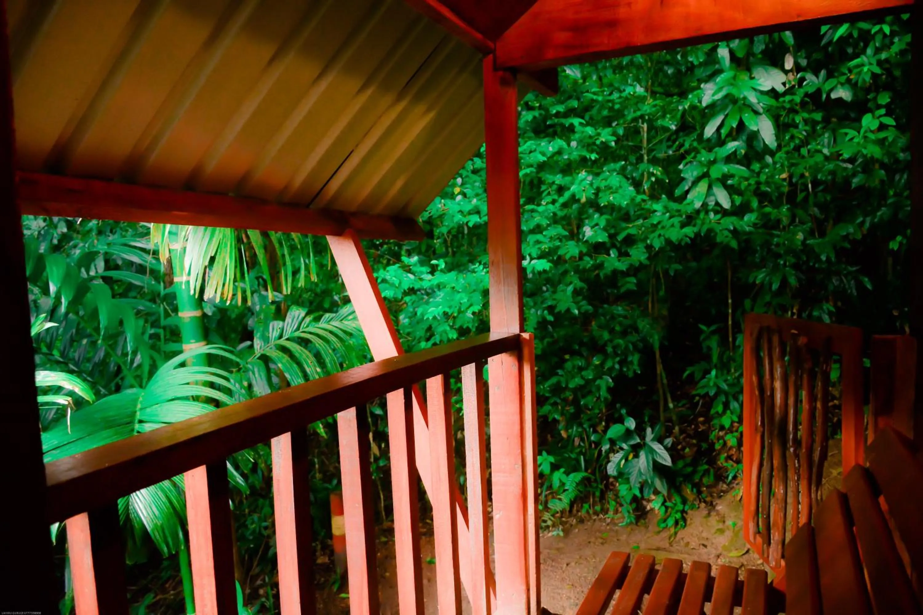 Balcony/Terrace in Sinharaja Forest Gate