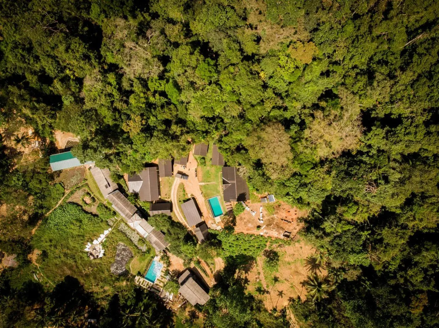 Bird's eye view in Sinharaja Forest Gate Bird's eye view in Sinharaja Forest Gate