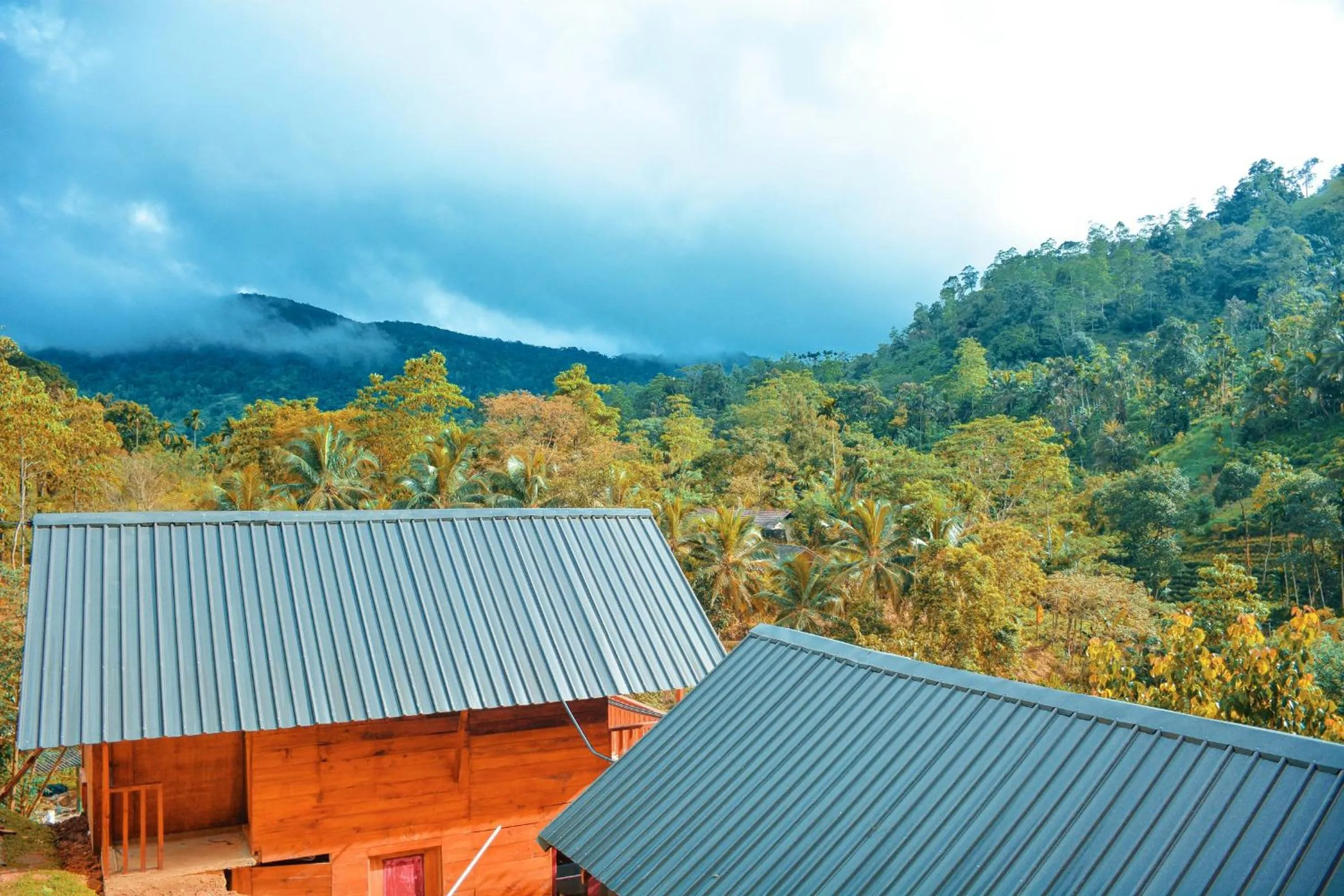 Sinharaja Forest Gate