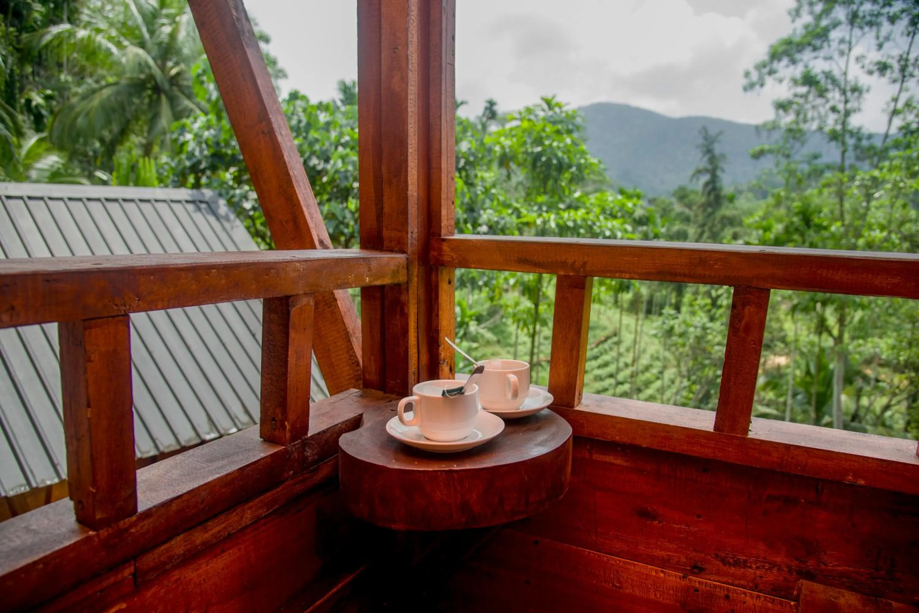 Sinharaja Forest Gate