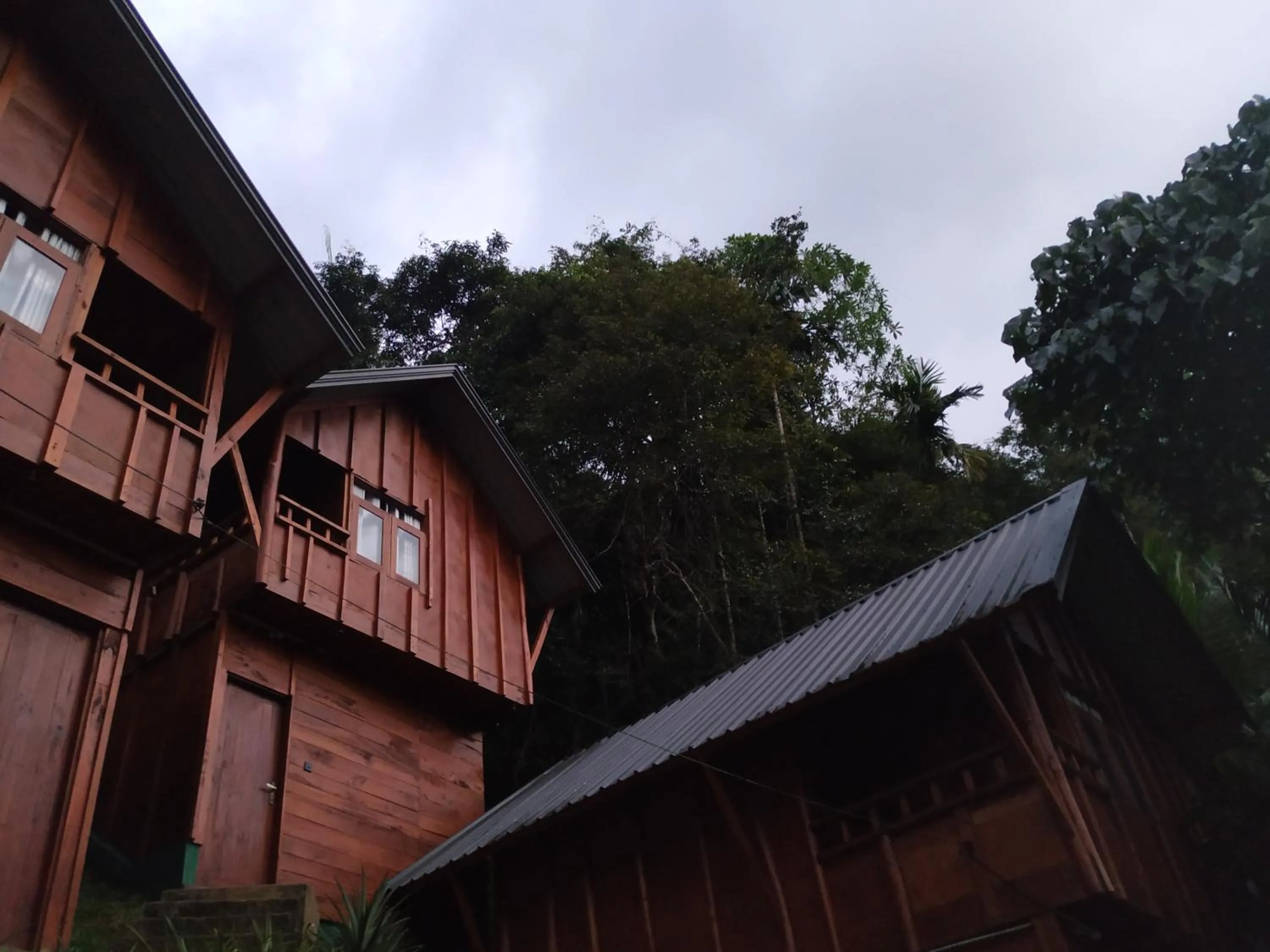 Sinharaja Forest Gate