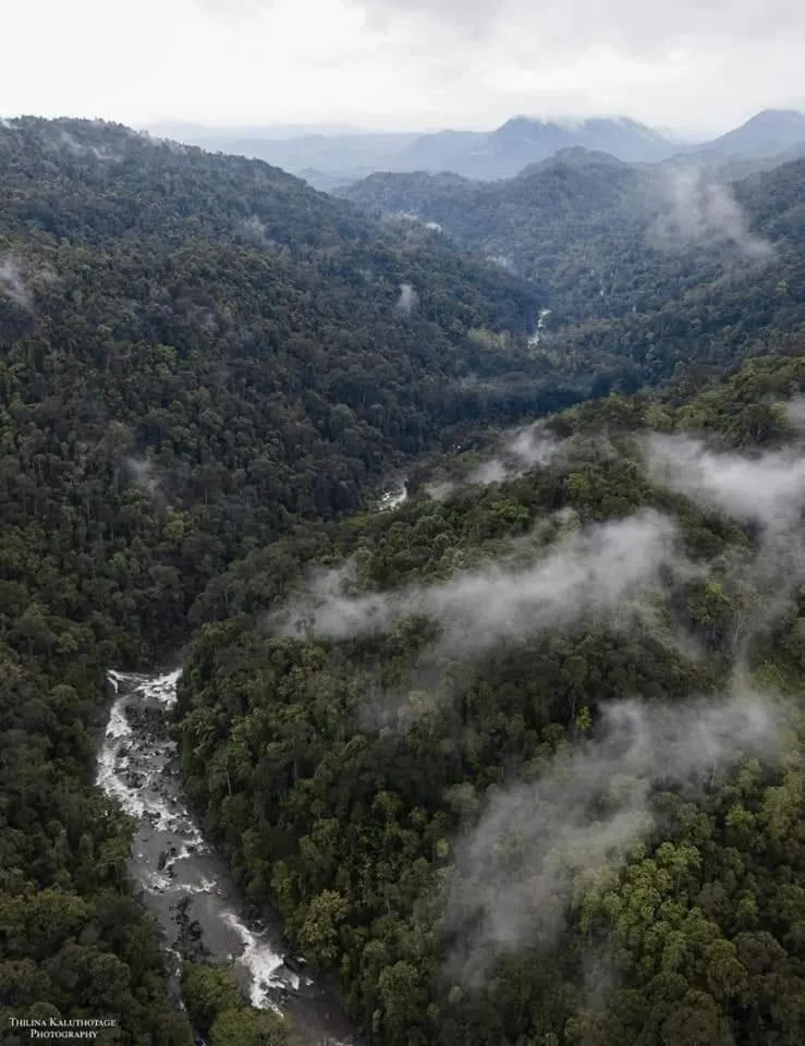 Sinharaja Forest Gate