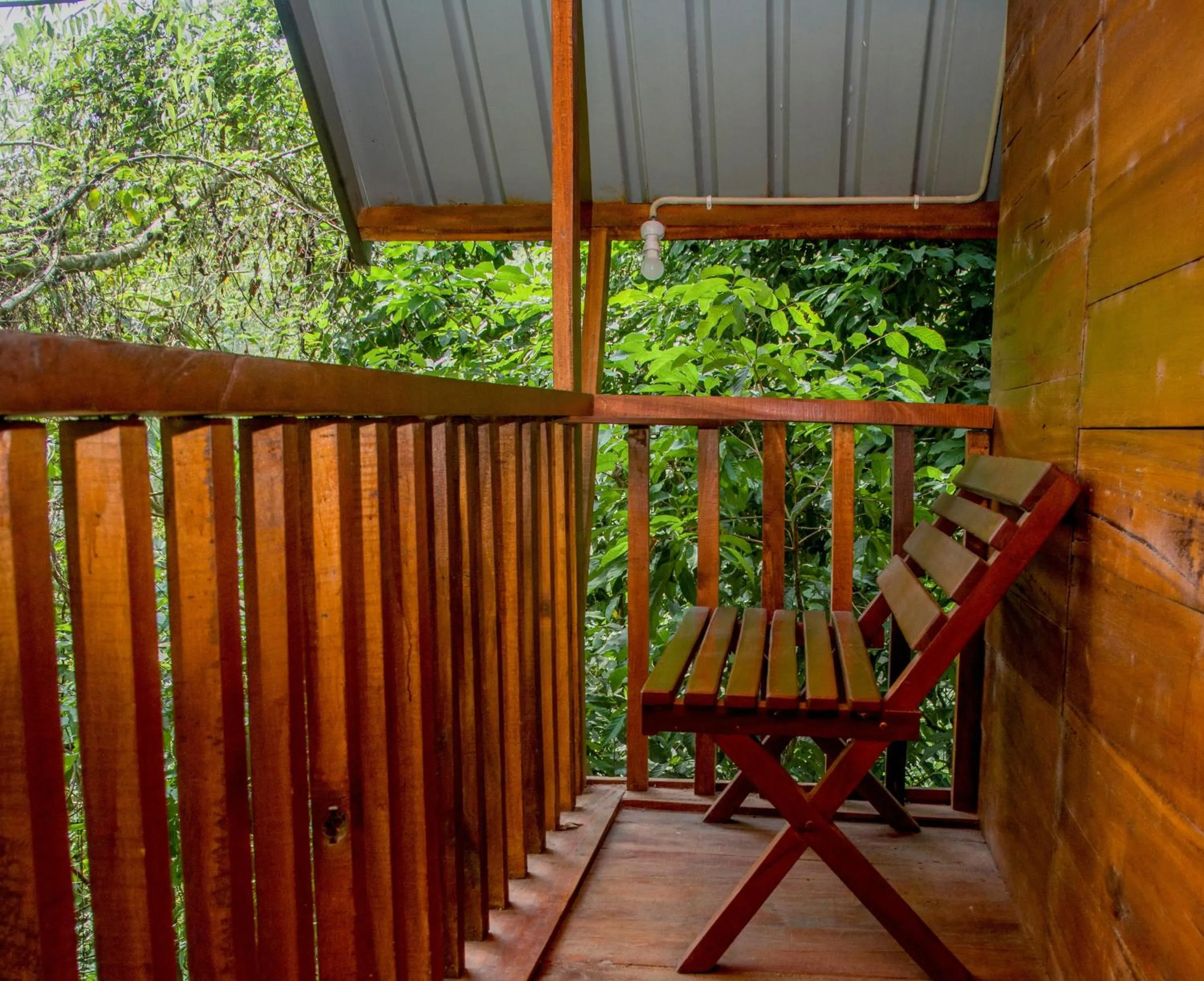 Sinharaja Forest Gate