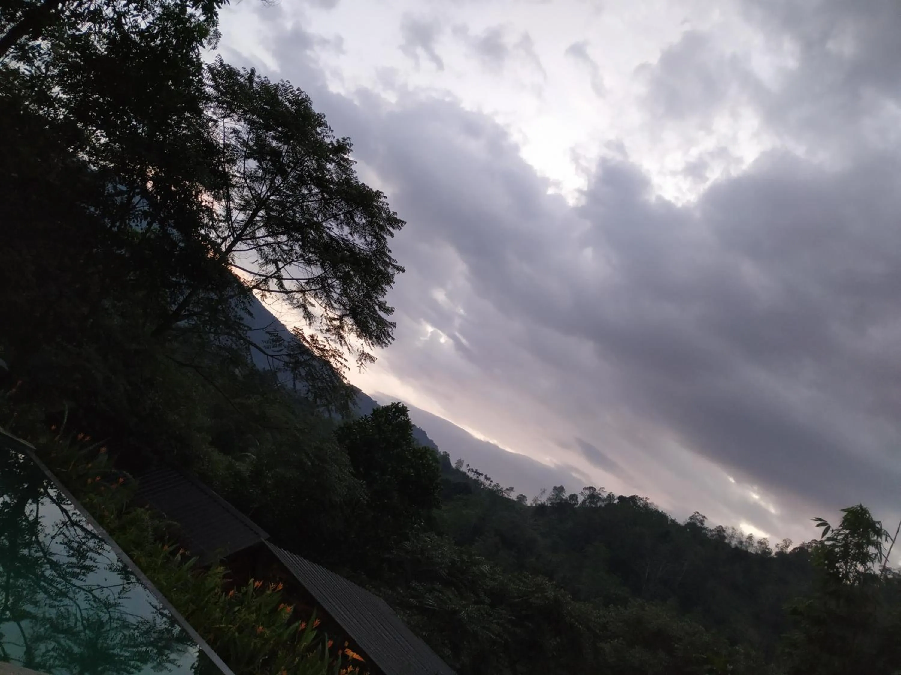 Sinharaja Forest Gate