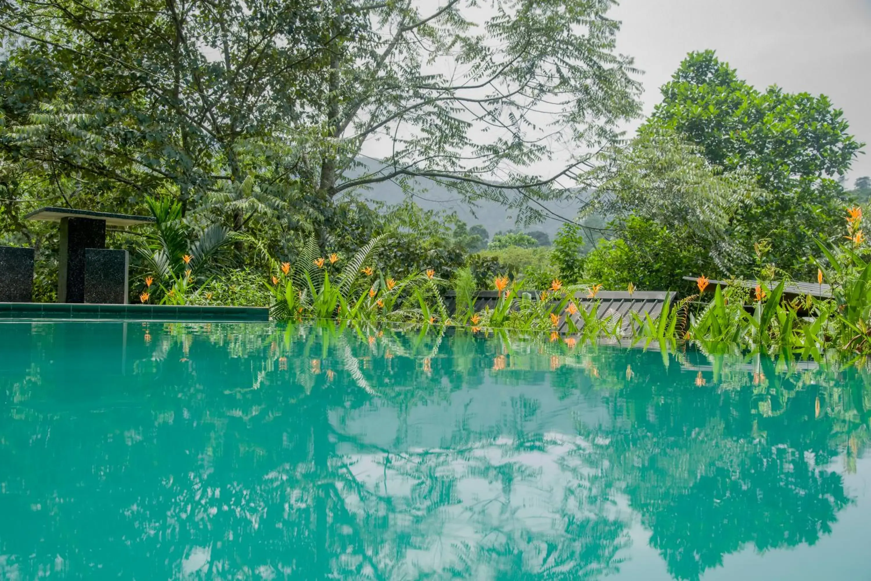 Swimming pool in Sinharaja Forest Gate Swimming pool in Sinharaja Forest Gate