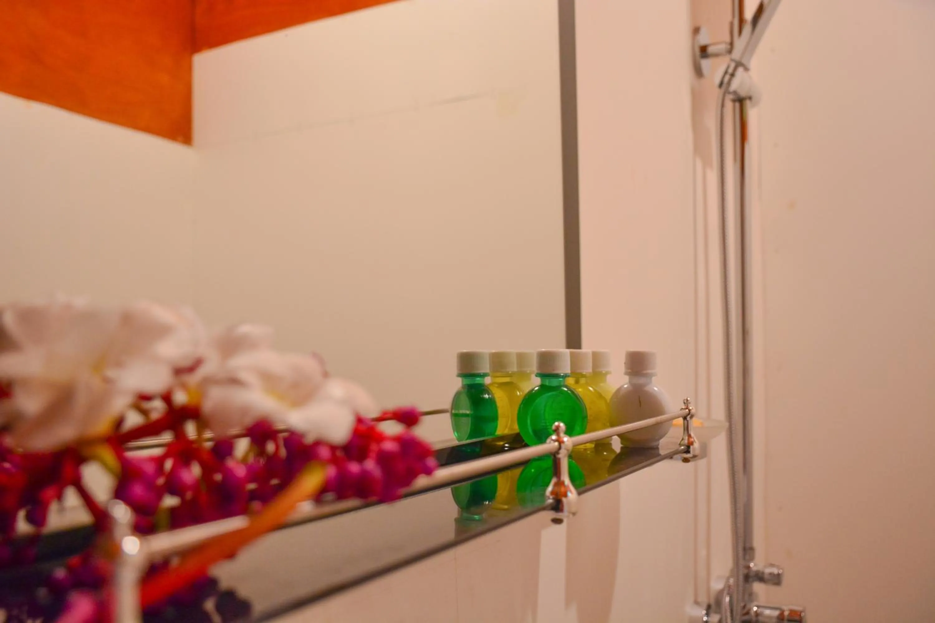 Sinharaja Forest Gate