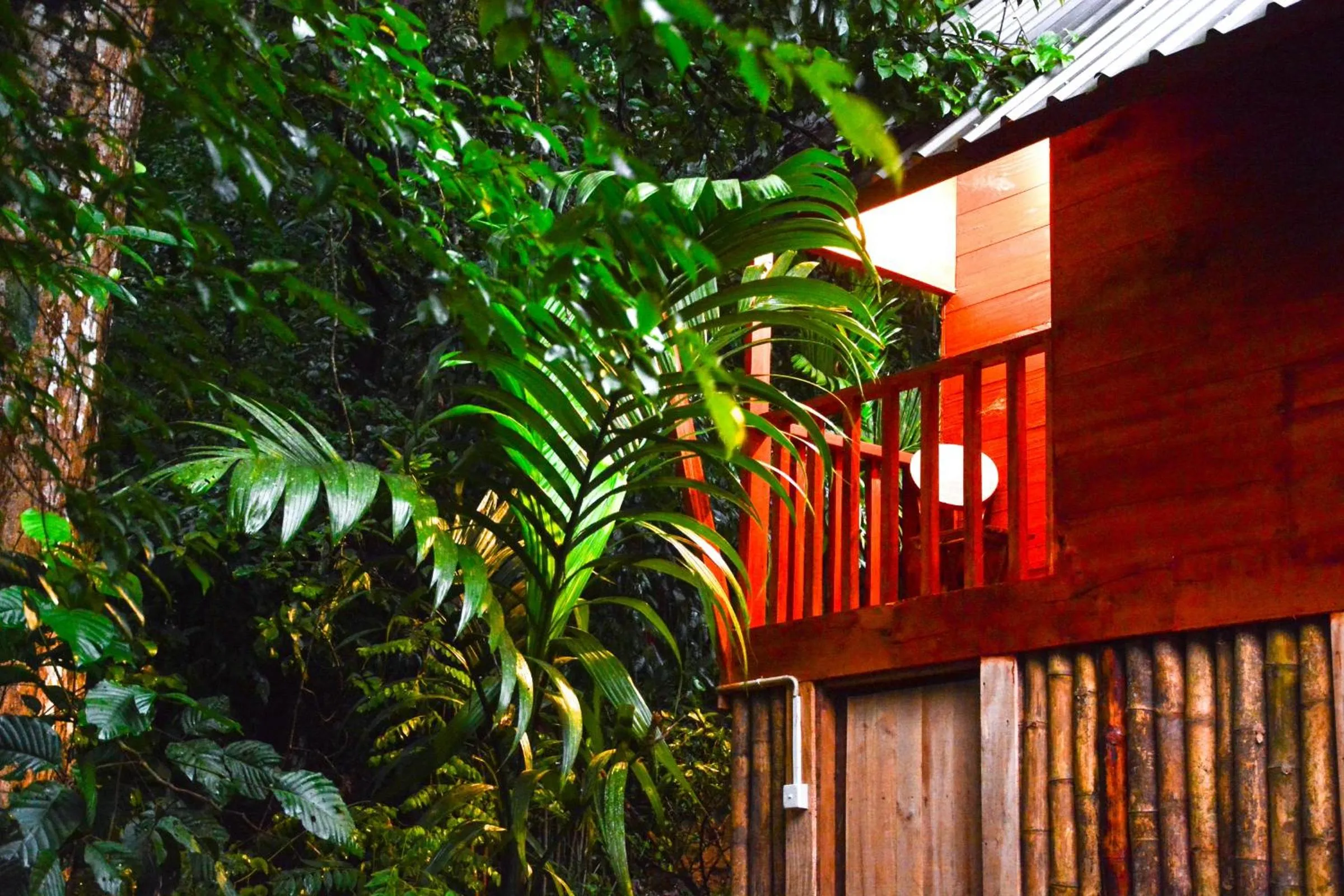 Balcony/Terrace in Sinharaja Forest Gate