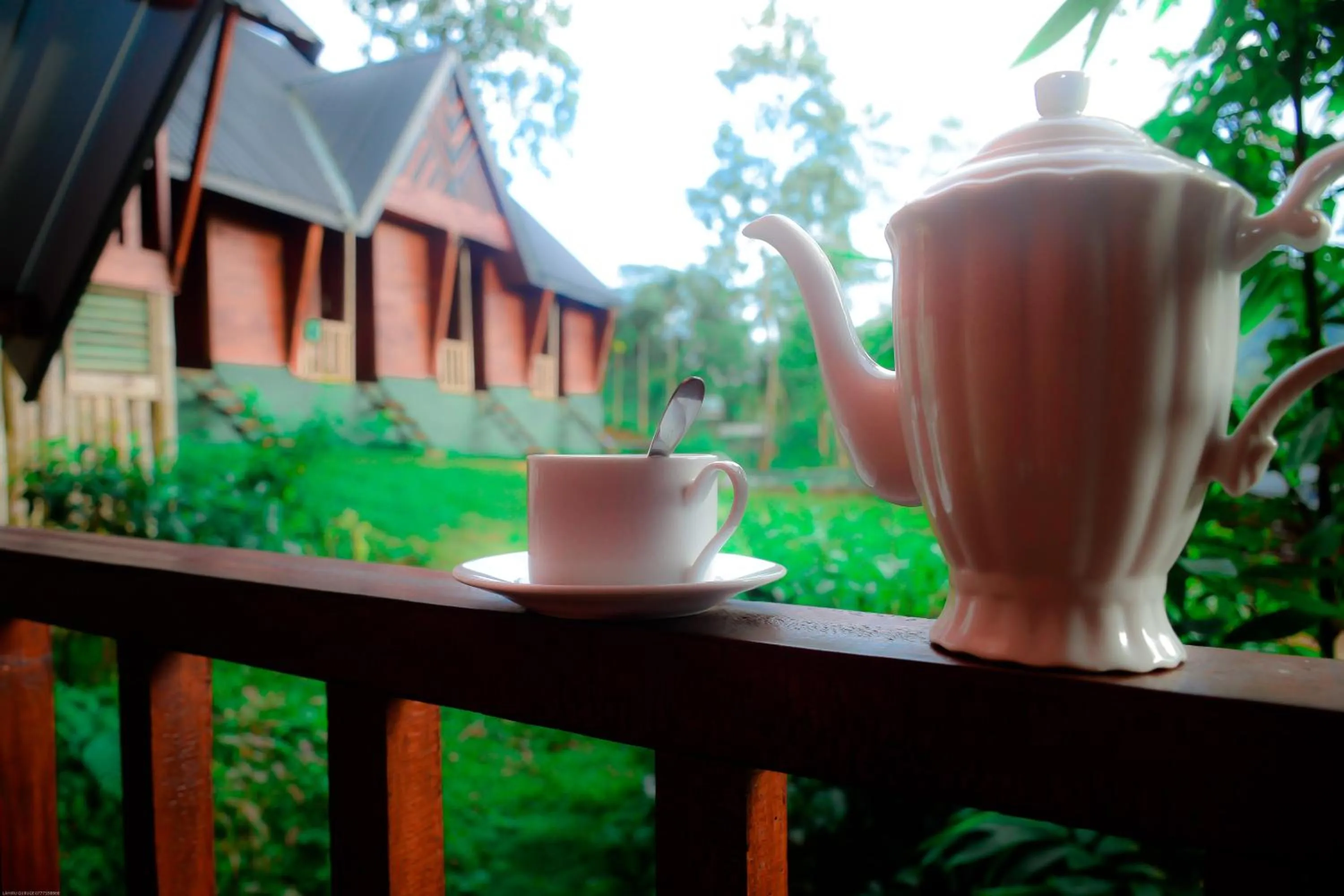 Coffee/tea facilities in Sinharaja Forest Gate