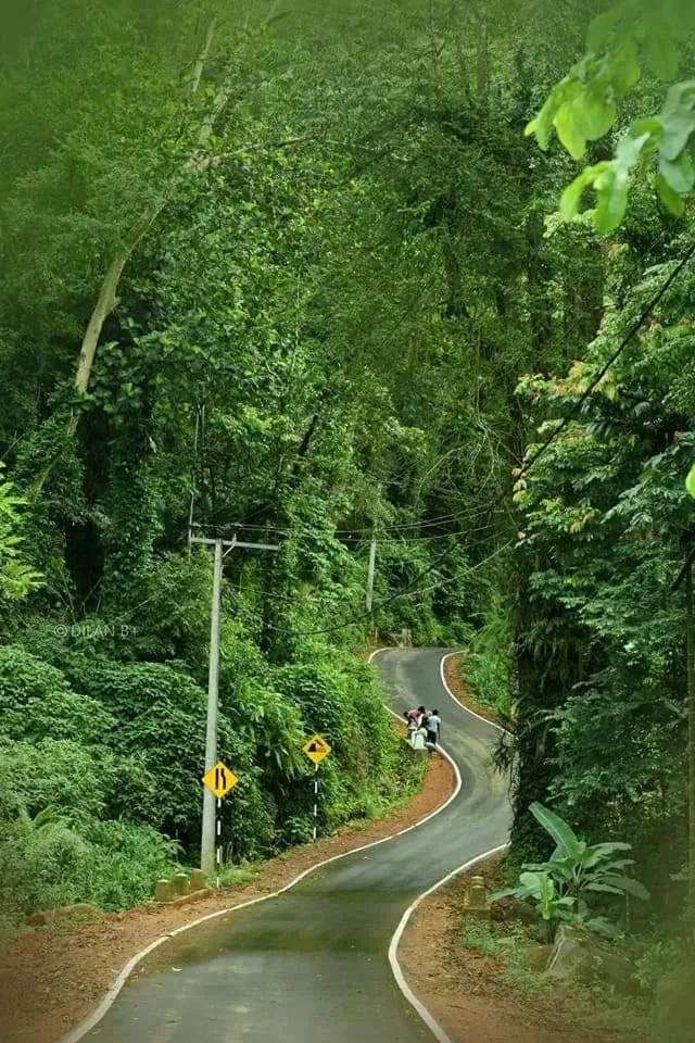 Sinharaja Forest Gate