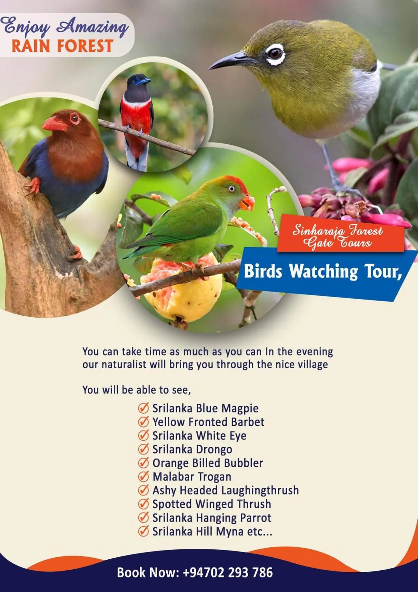 Sinharaja Forest Gate