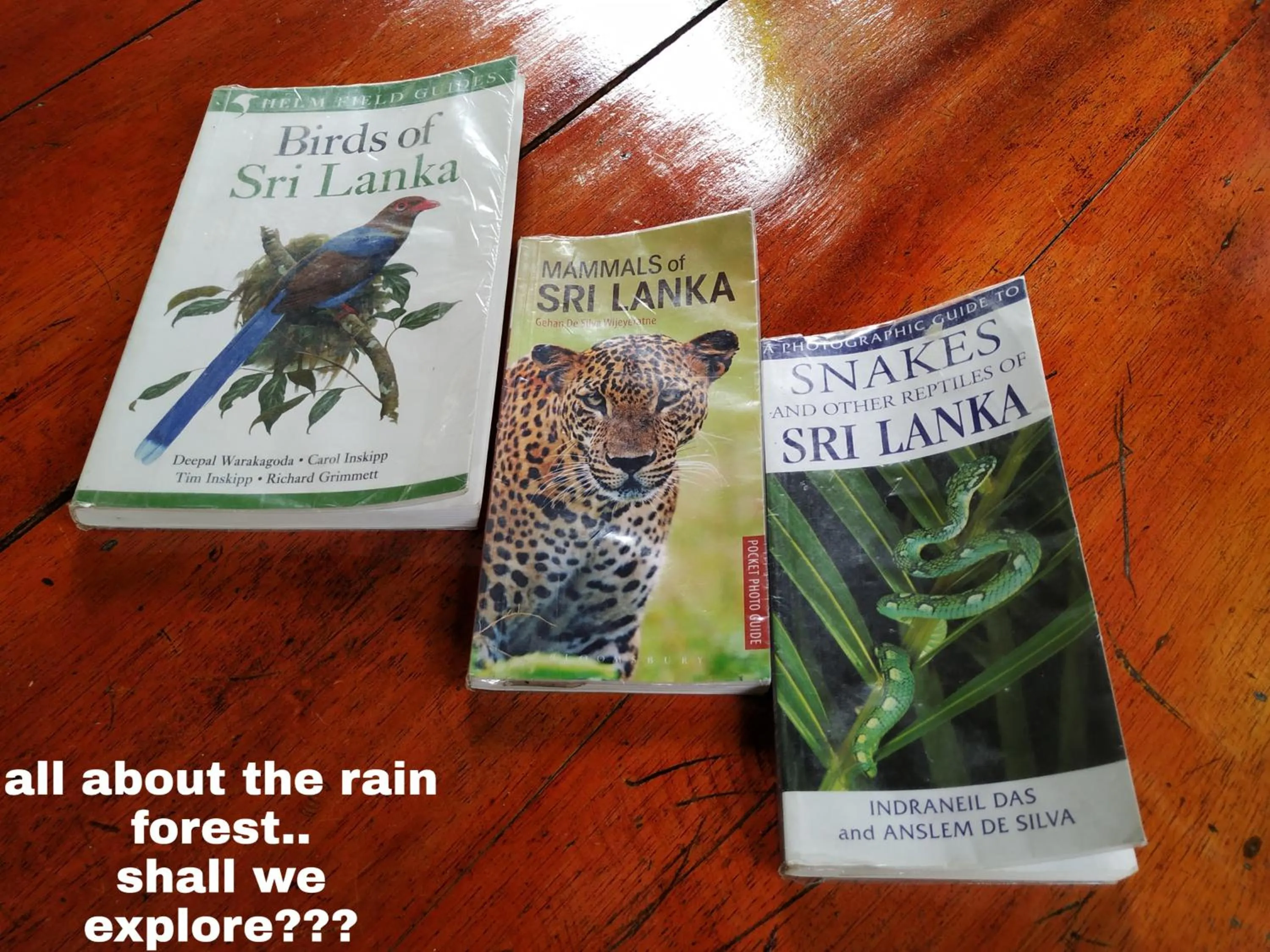 Sinharaja Forest Gate