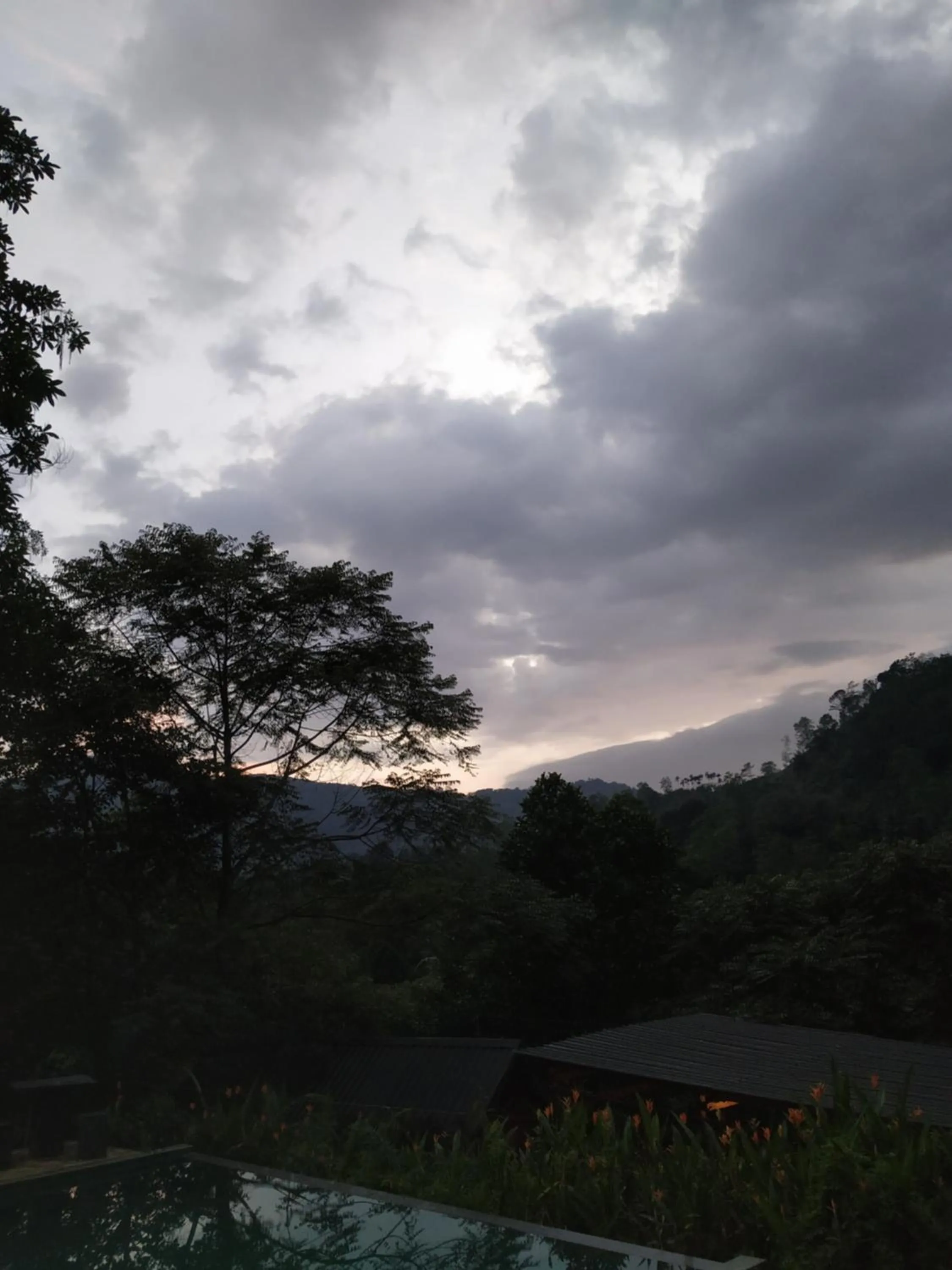 Sinharaja Forest Gate