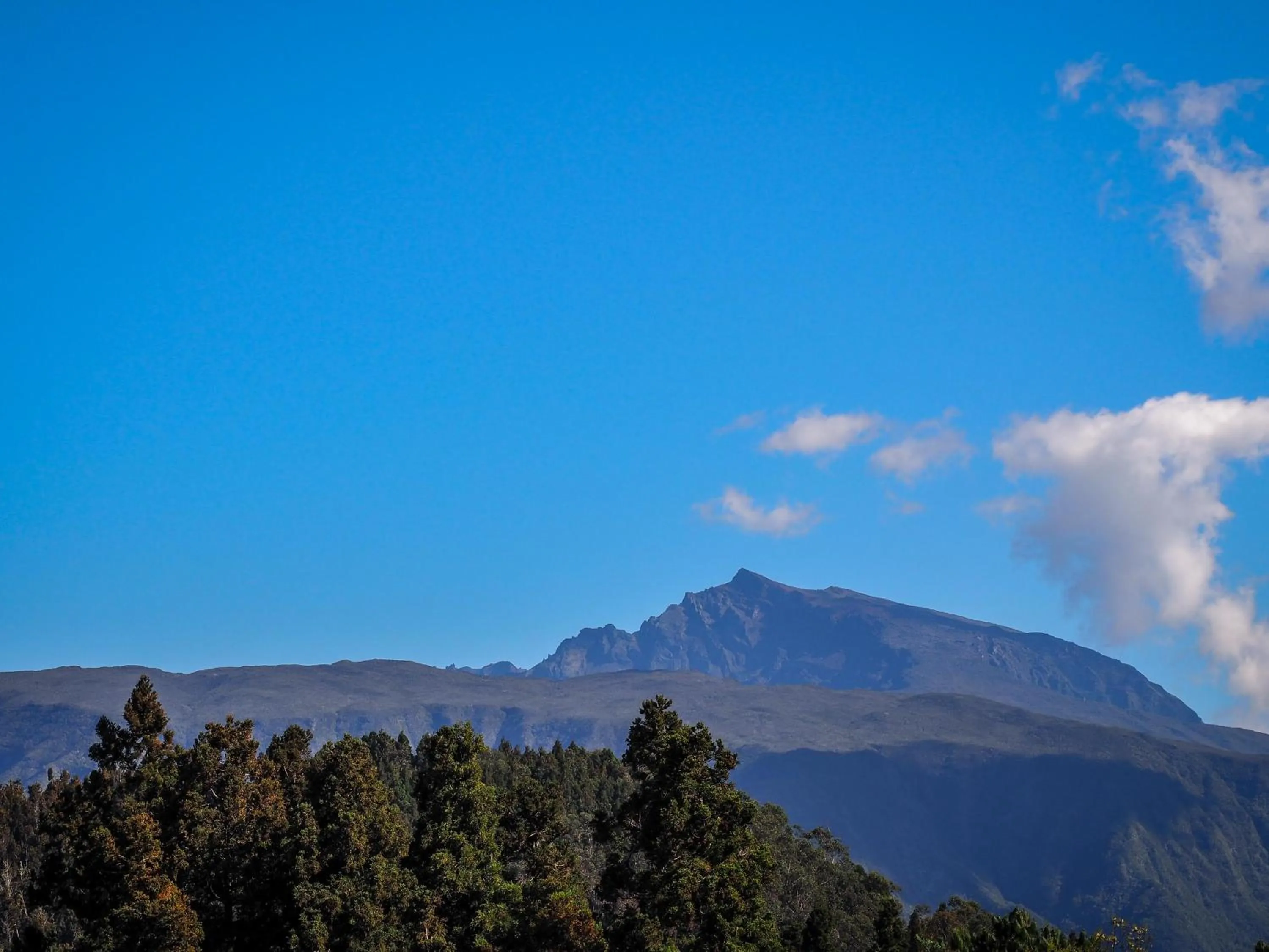 Mountain view in Hôtel L'Ecrin