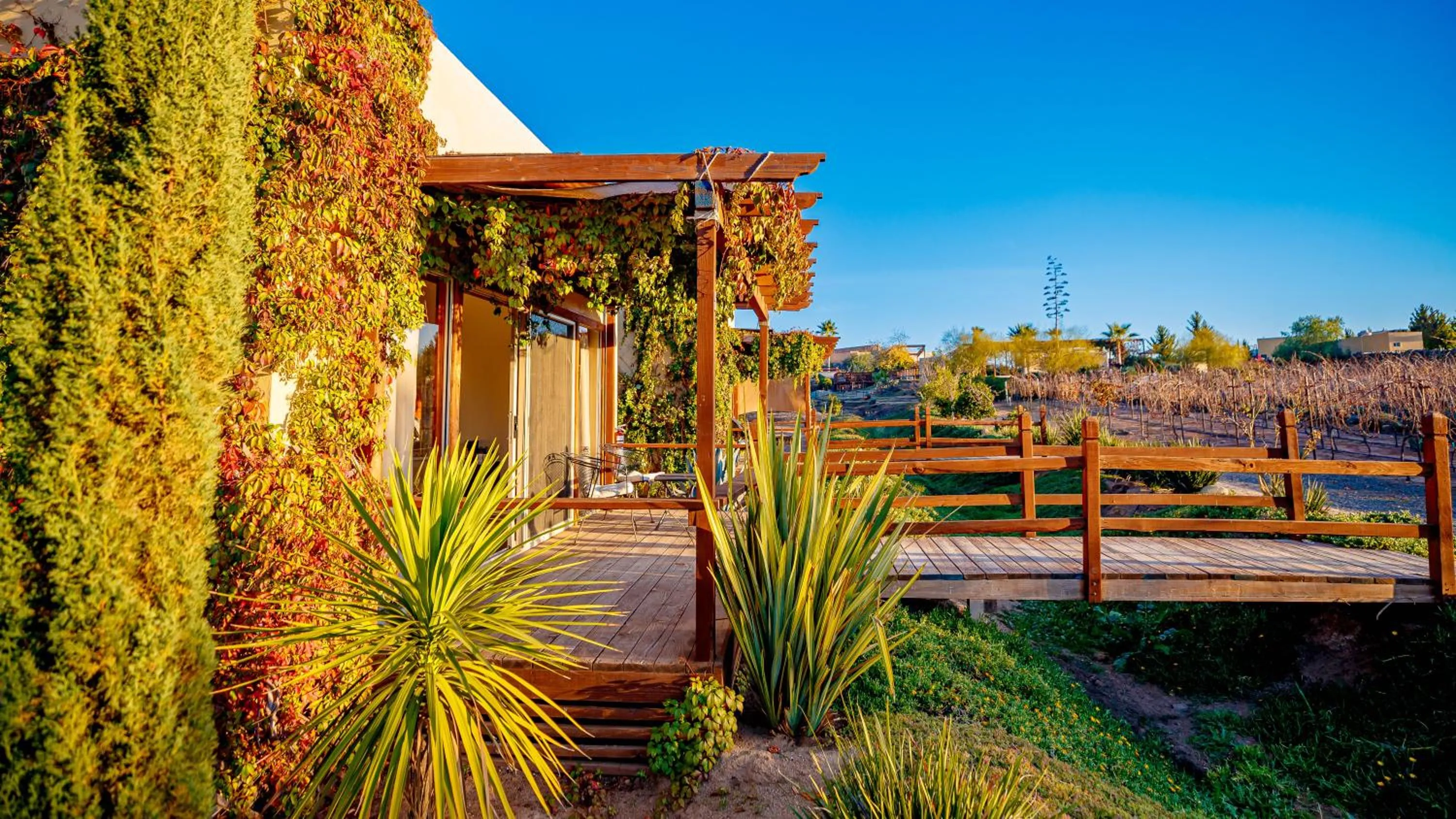 Day in Luna Del Valle