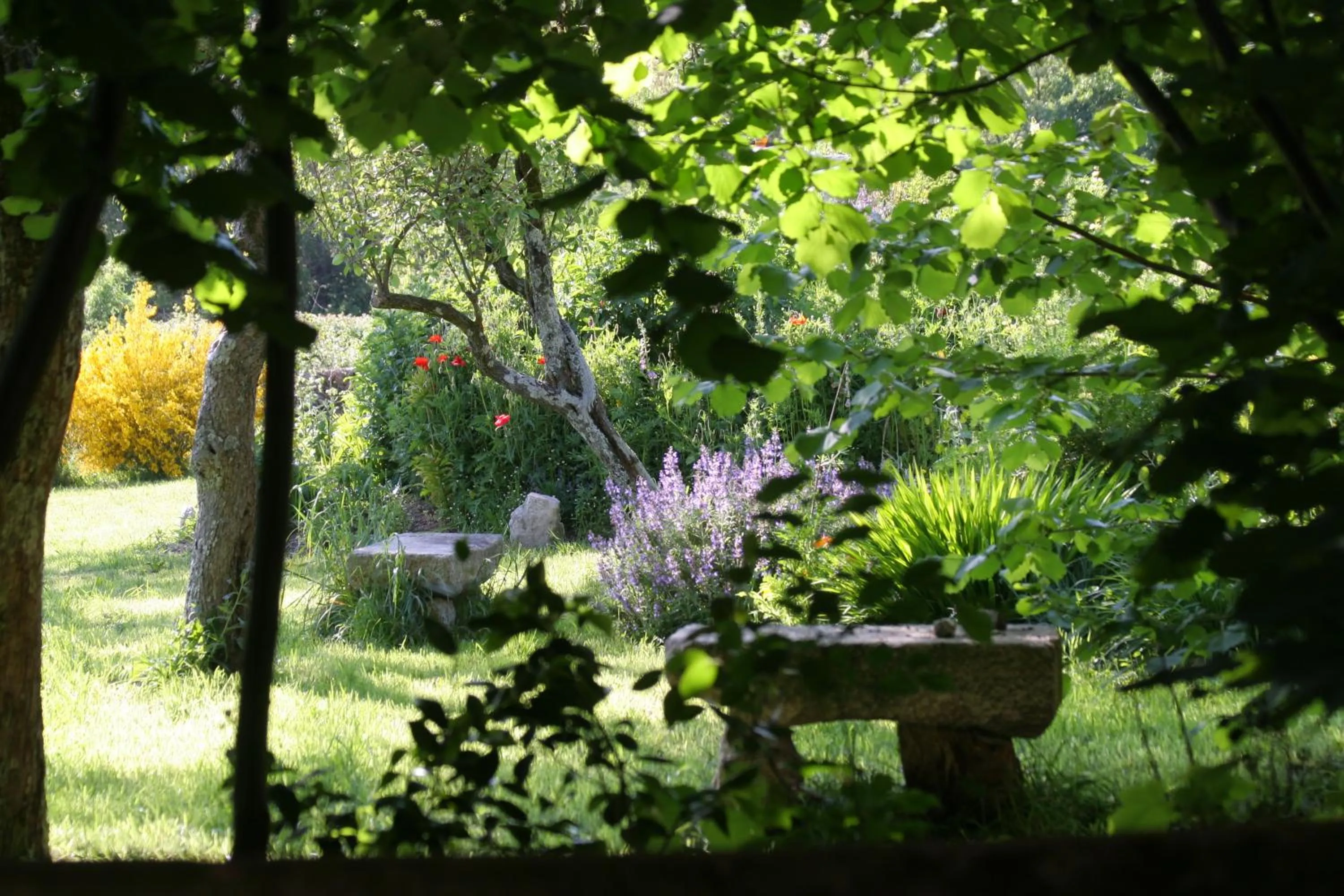 Garden in Pazo de Chaioso Ribeira Sacra