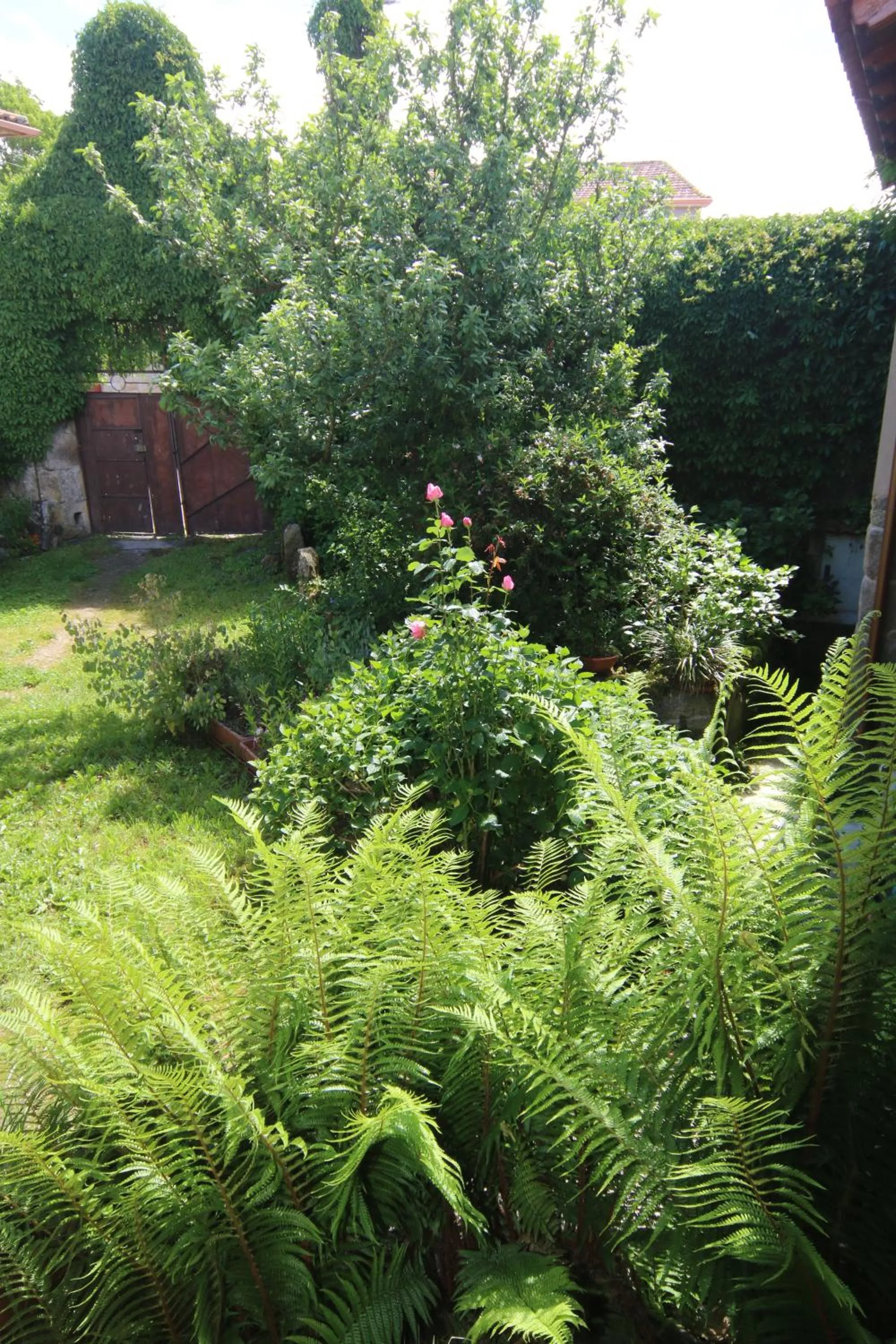 Garden in Pazo de Chaioso Ribeira Sacra