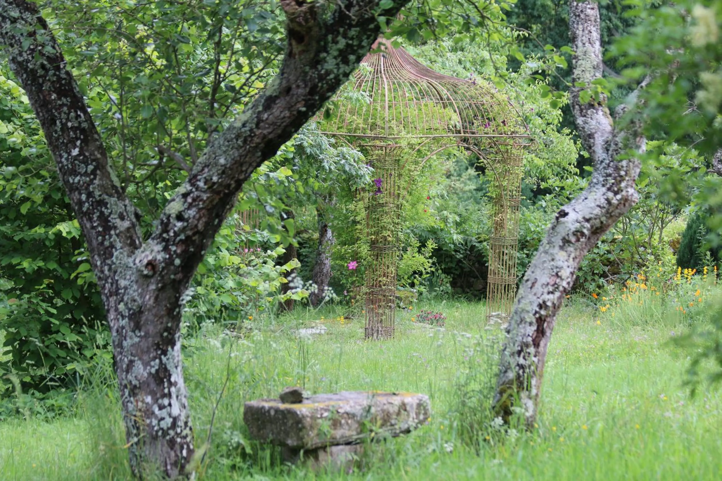 Garden in Pazo de Chaioso Ribeira Sacra