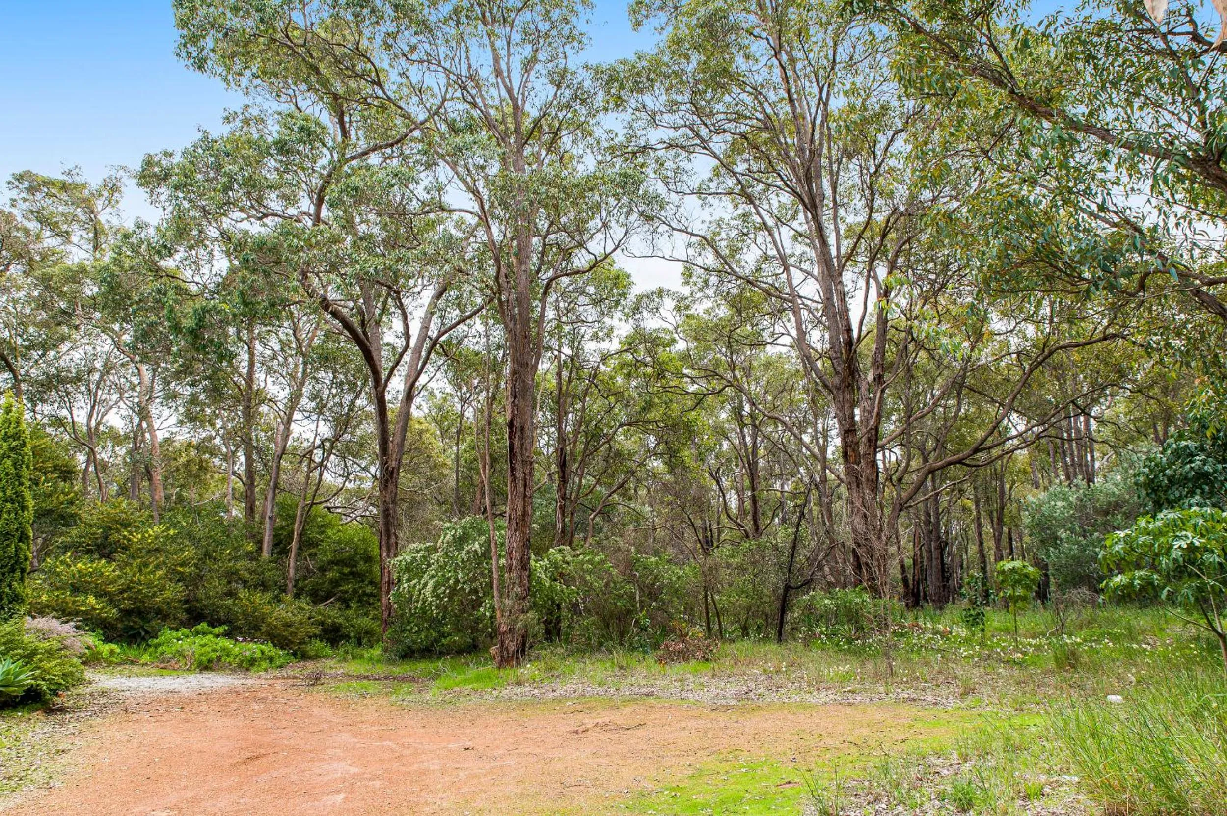 View (from property/room) in Travellers Rest Motel