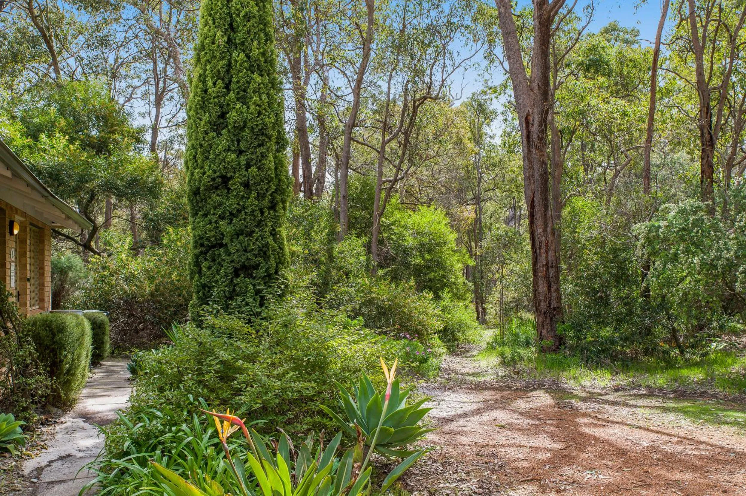 View (from property/room) in Travellers Rest Motel