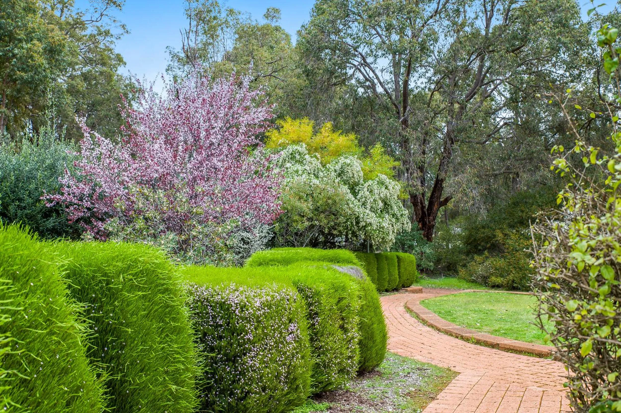 View (from property/room) in Travellers Rest Motel