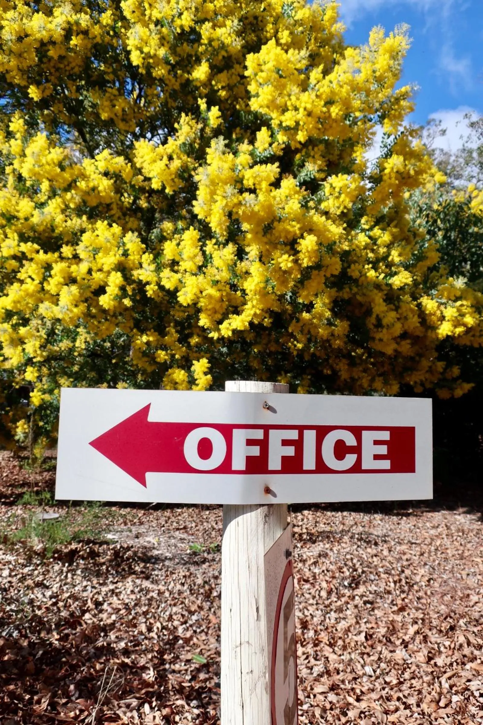 Spring in Travellers Rest Motel