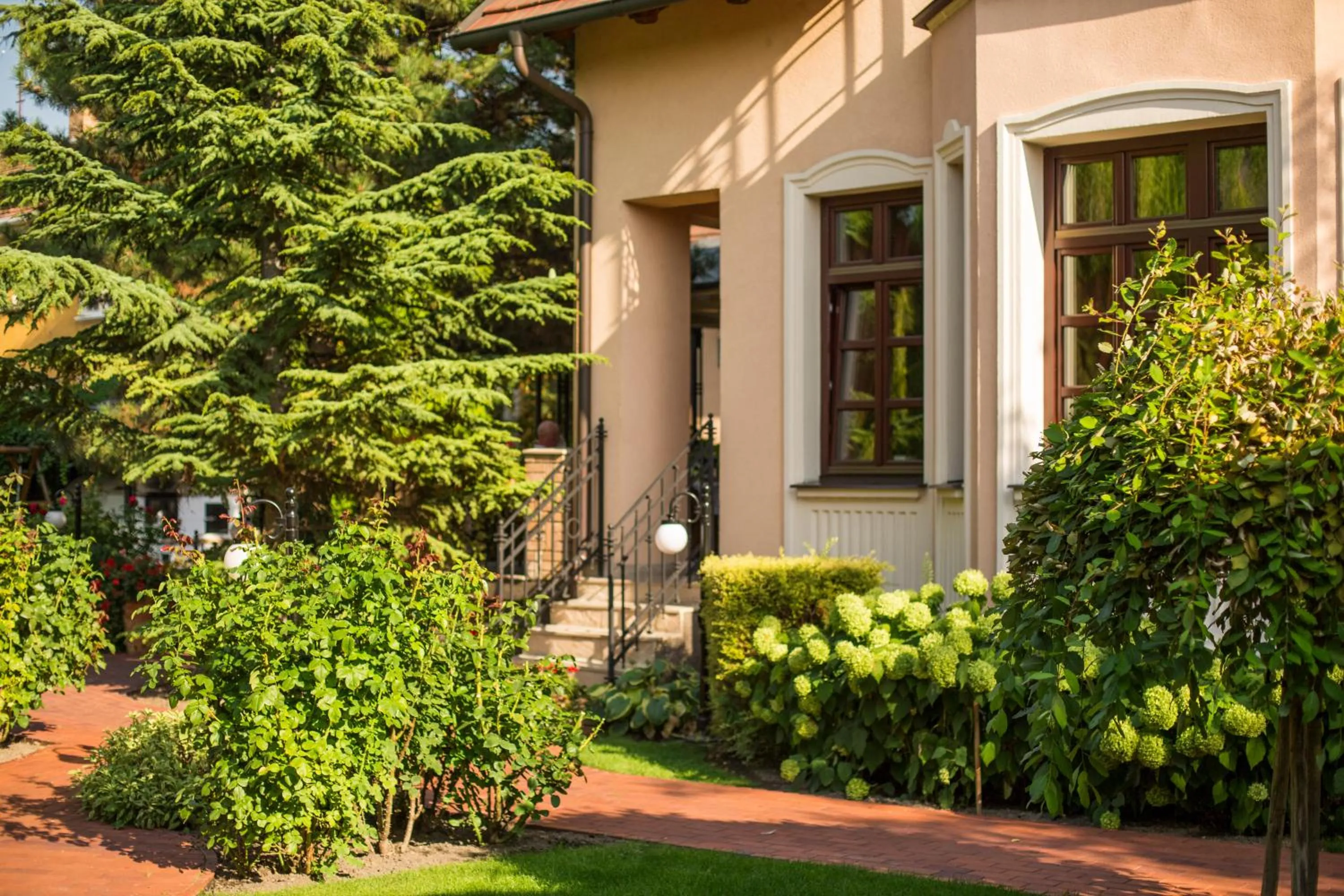 Garden in Villa Rosa