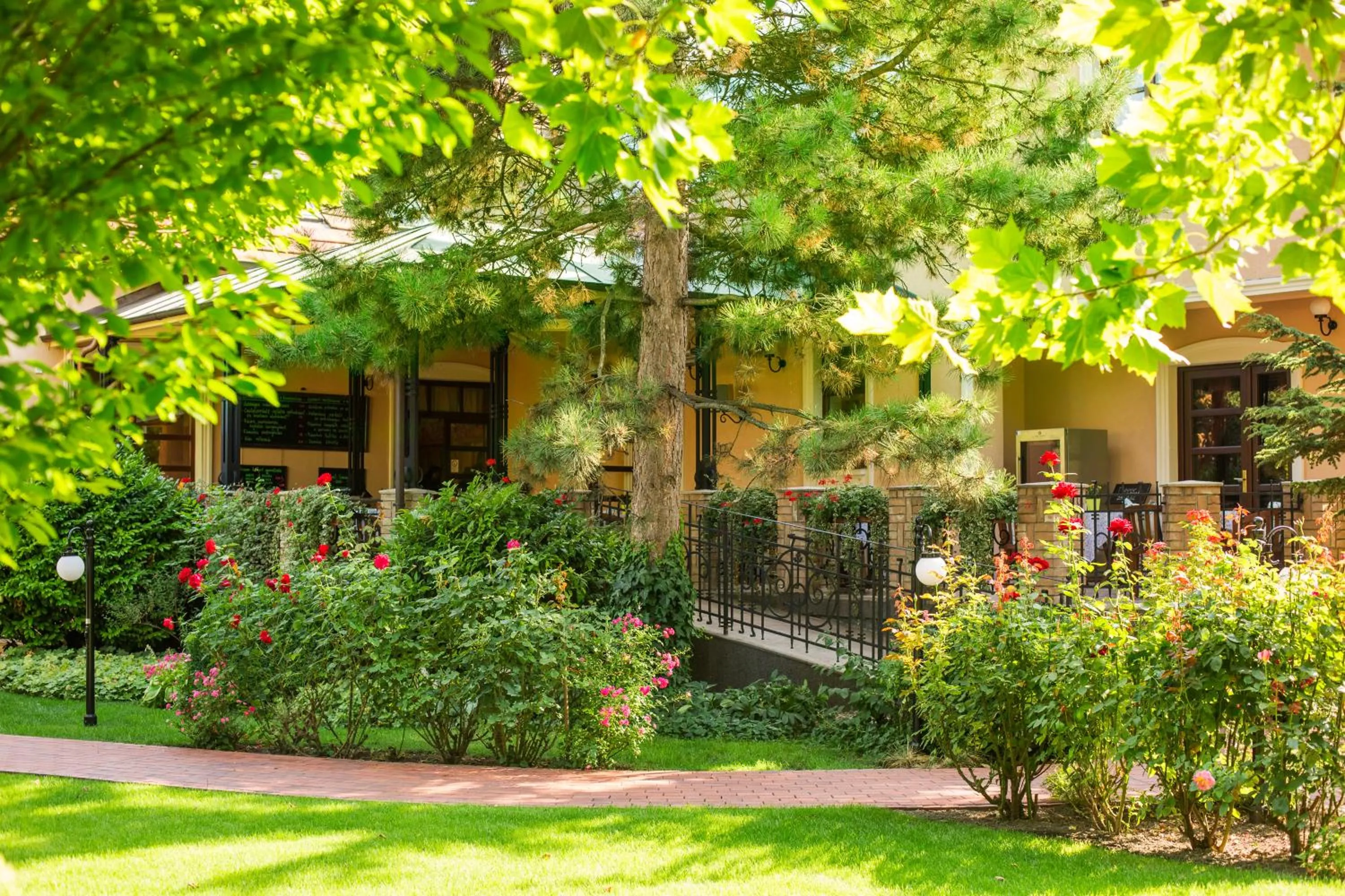 Garden in Villa Rosa