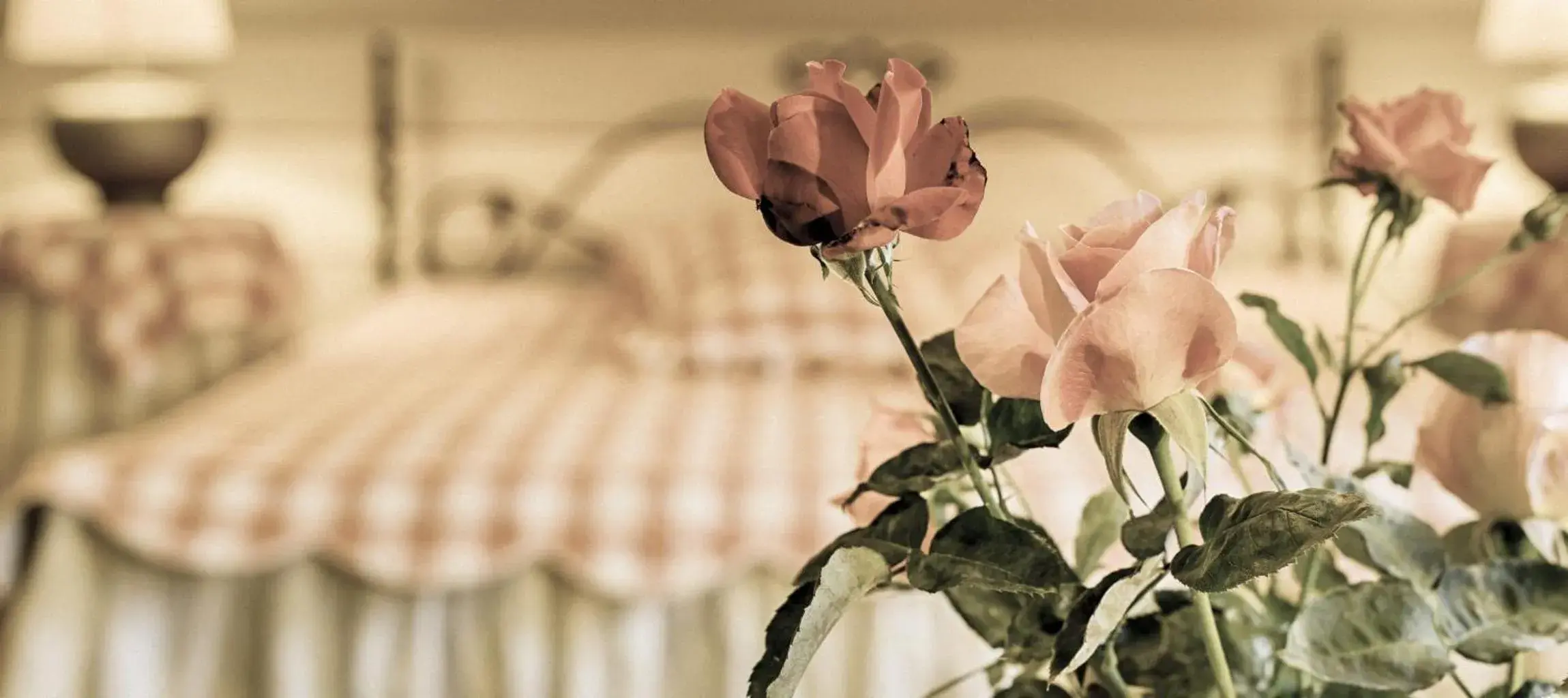 Double Room with Private Bathroom - single occupancy in Villa Rosa Double Room with Private Bathroom - single occupancy in Villa Rosa