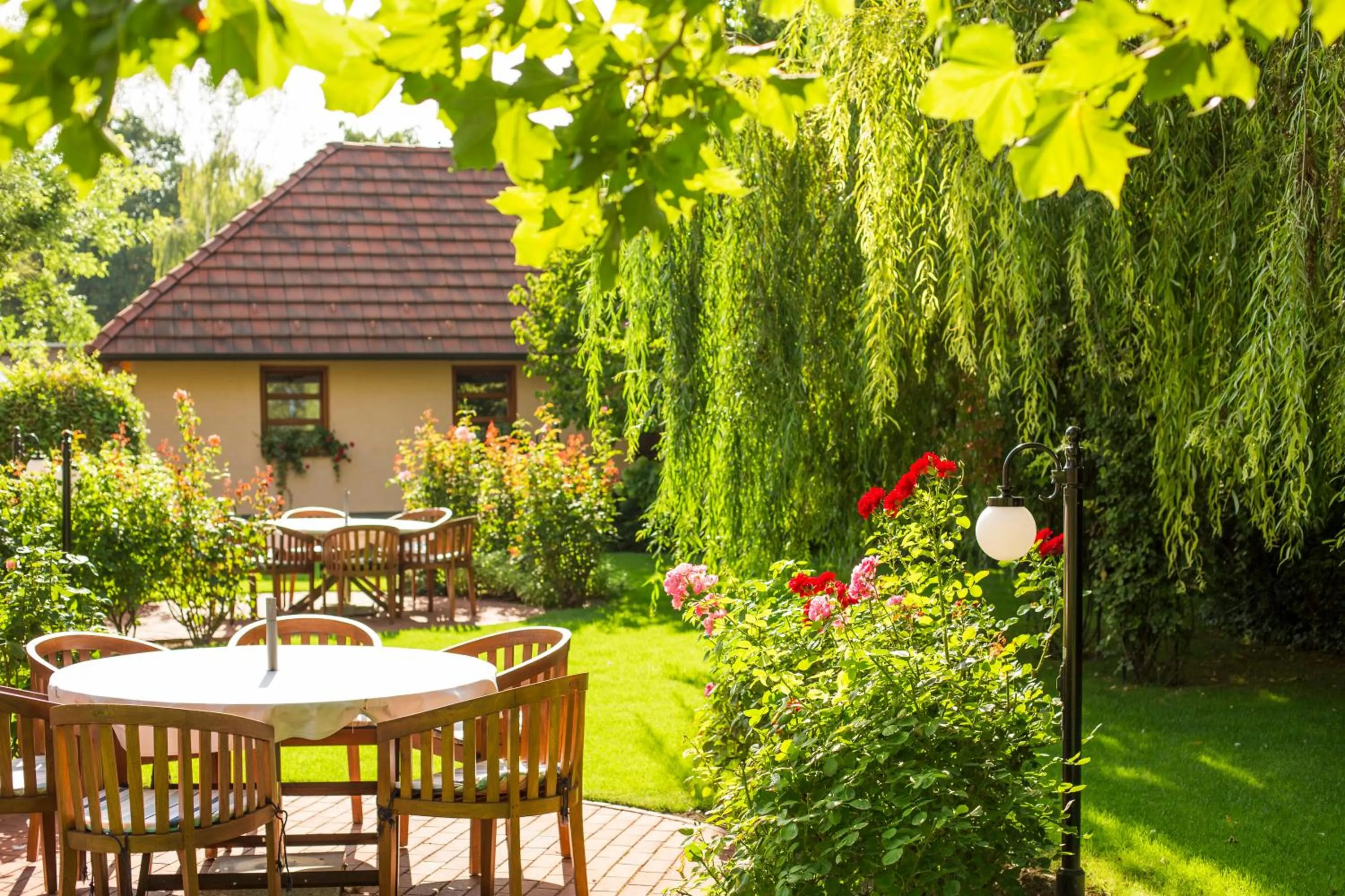 Garden view in Villa Rosa