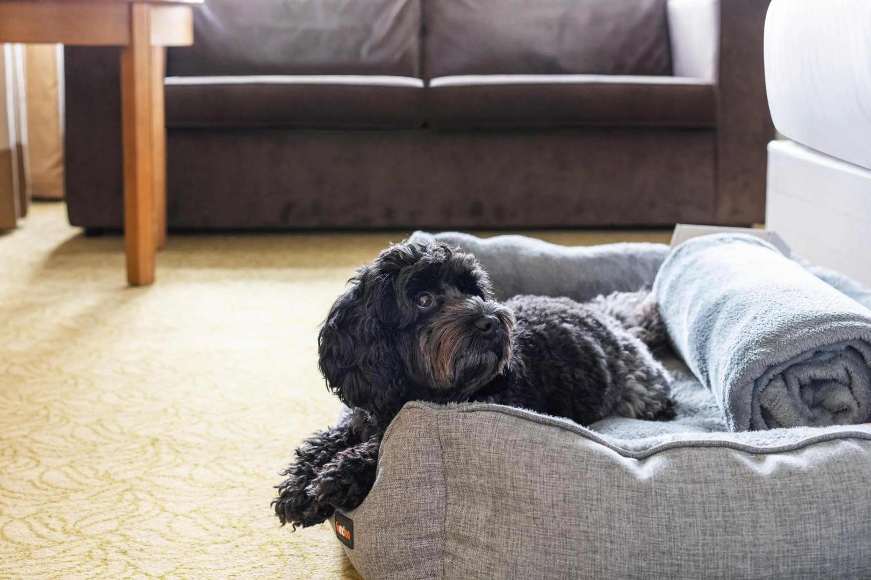 Other in Bournemouth Highcliff Marriott Hotel