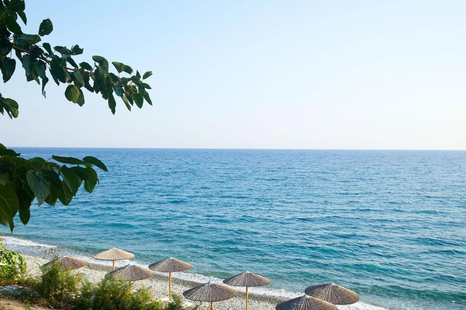 Beach in Hotel Alkyonis