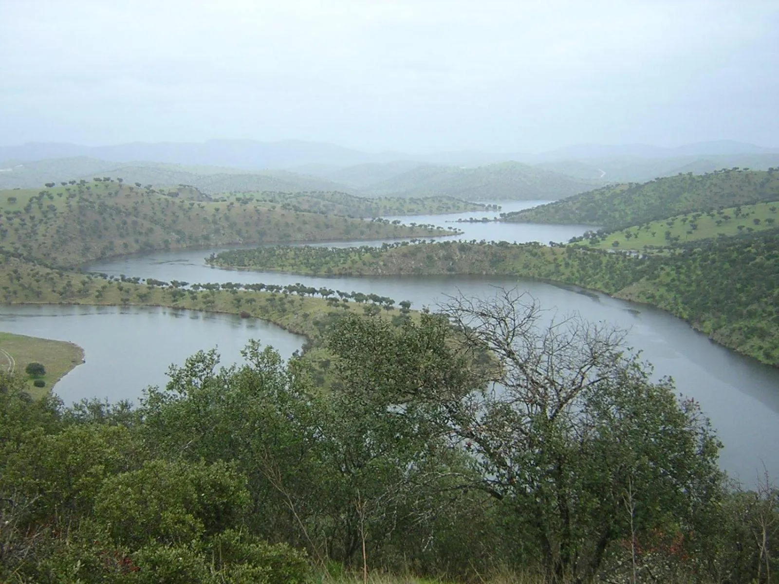 Natural landscape in Casa del Valle, Lodges