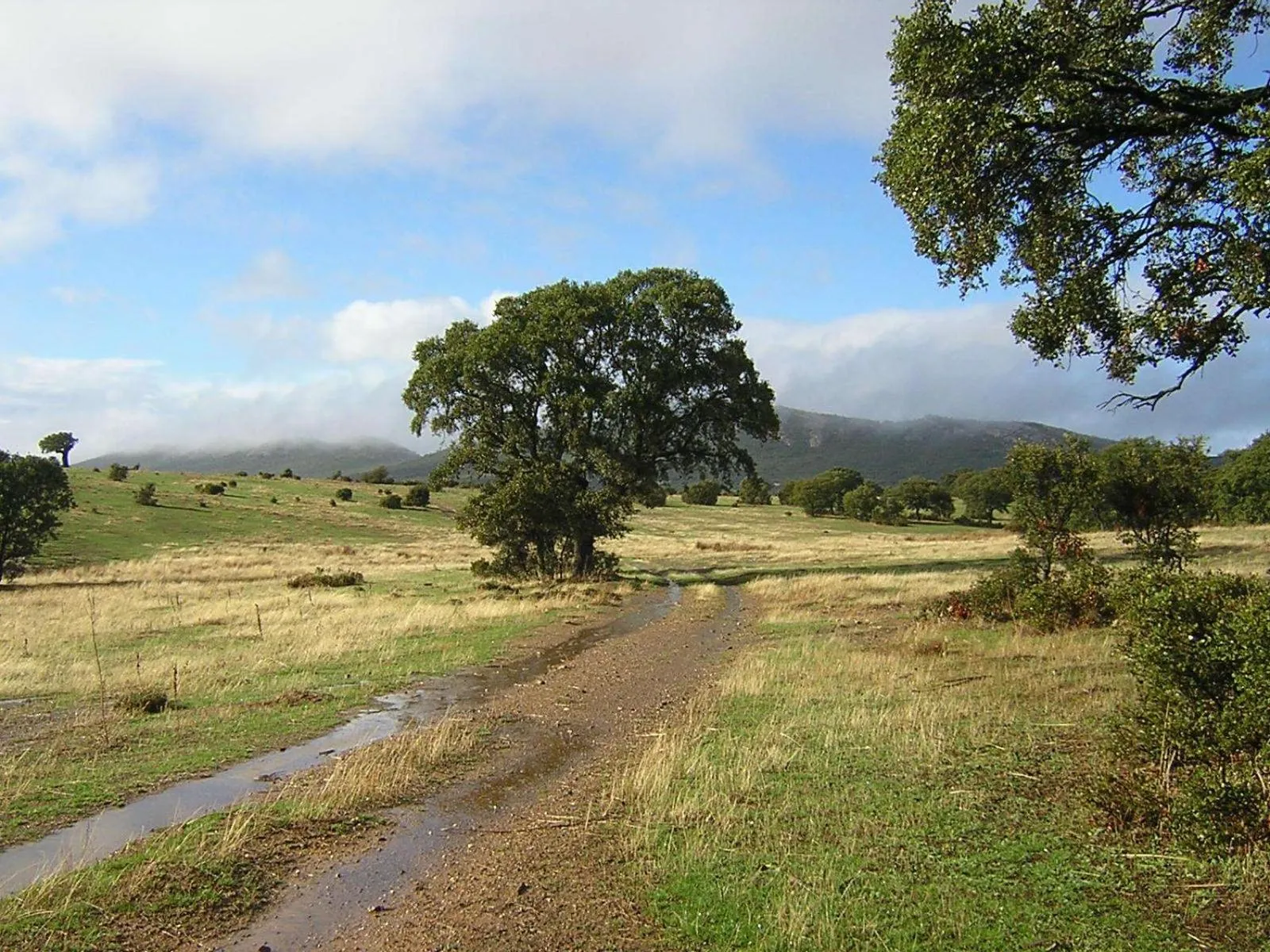 Natural landscape in Casa del Valle, Lodges
