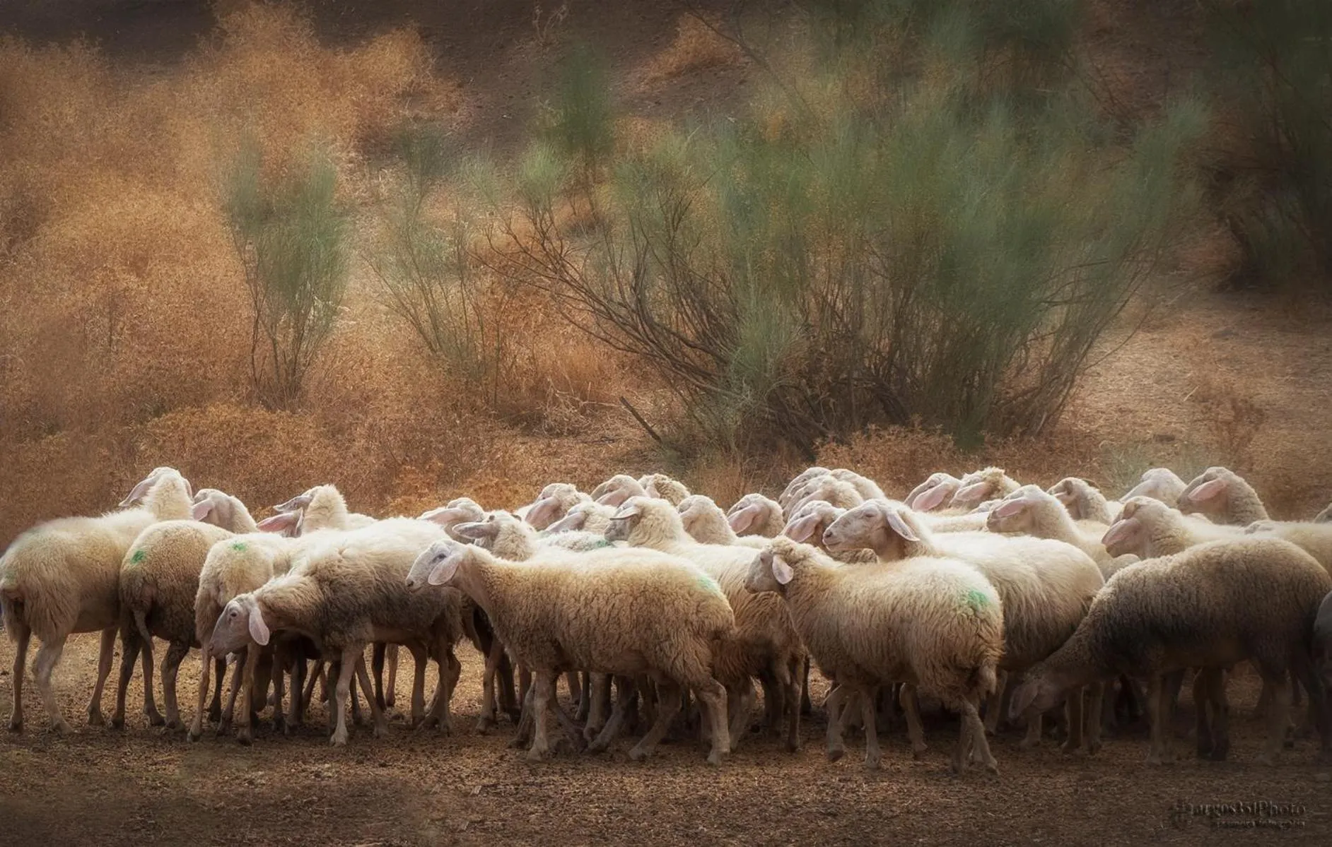 Natural landscape in Casa del Valle, Lodges