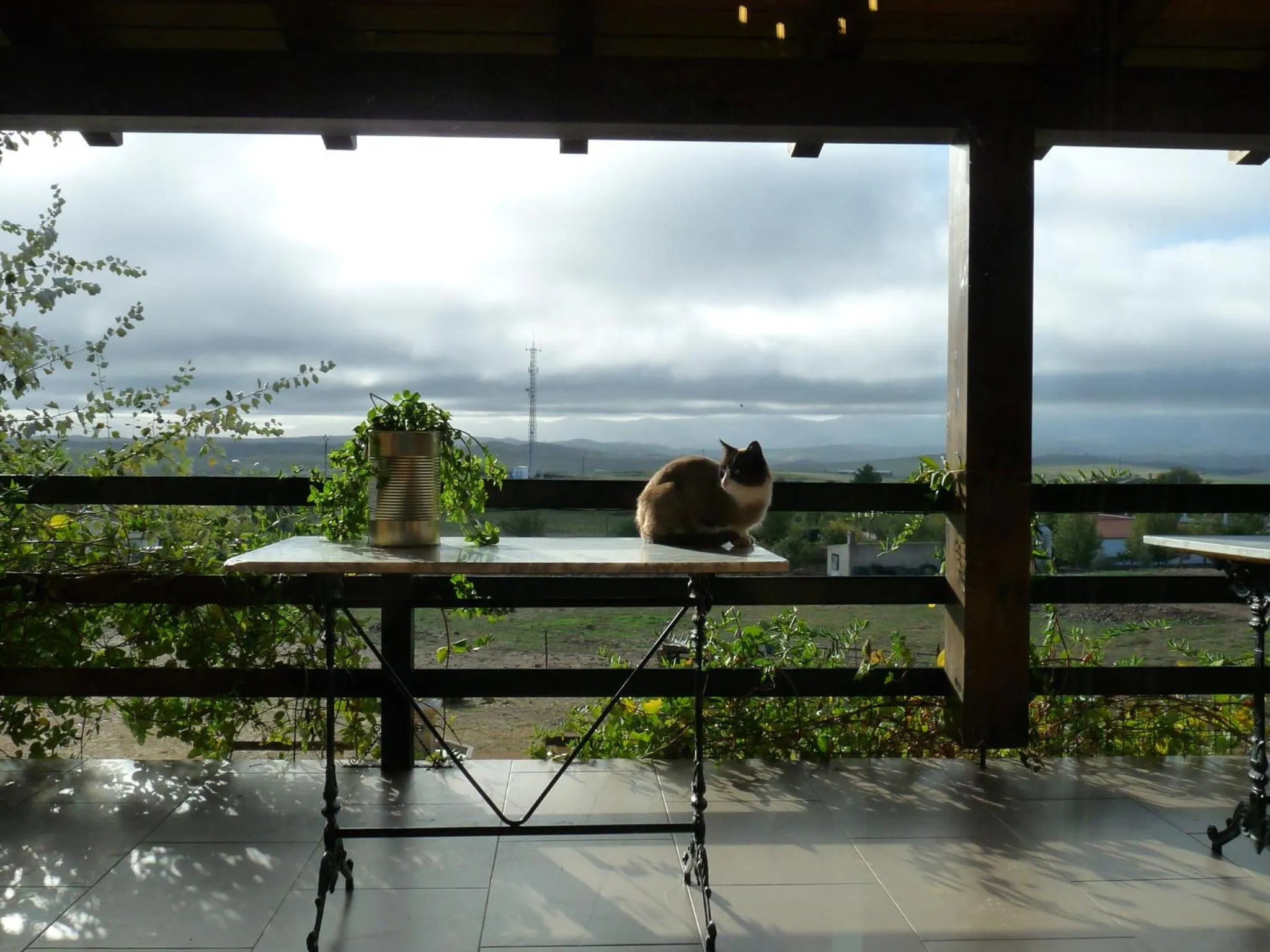 Balcony/Terrace in Casa del Valle, Lodges