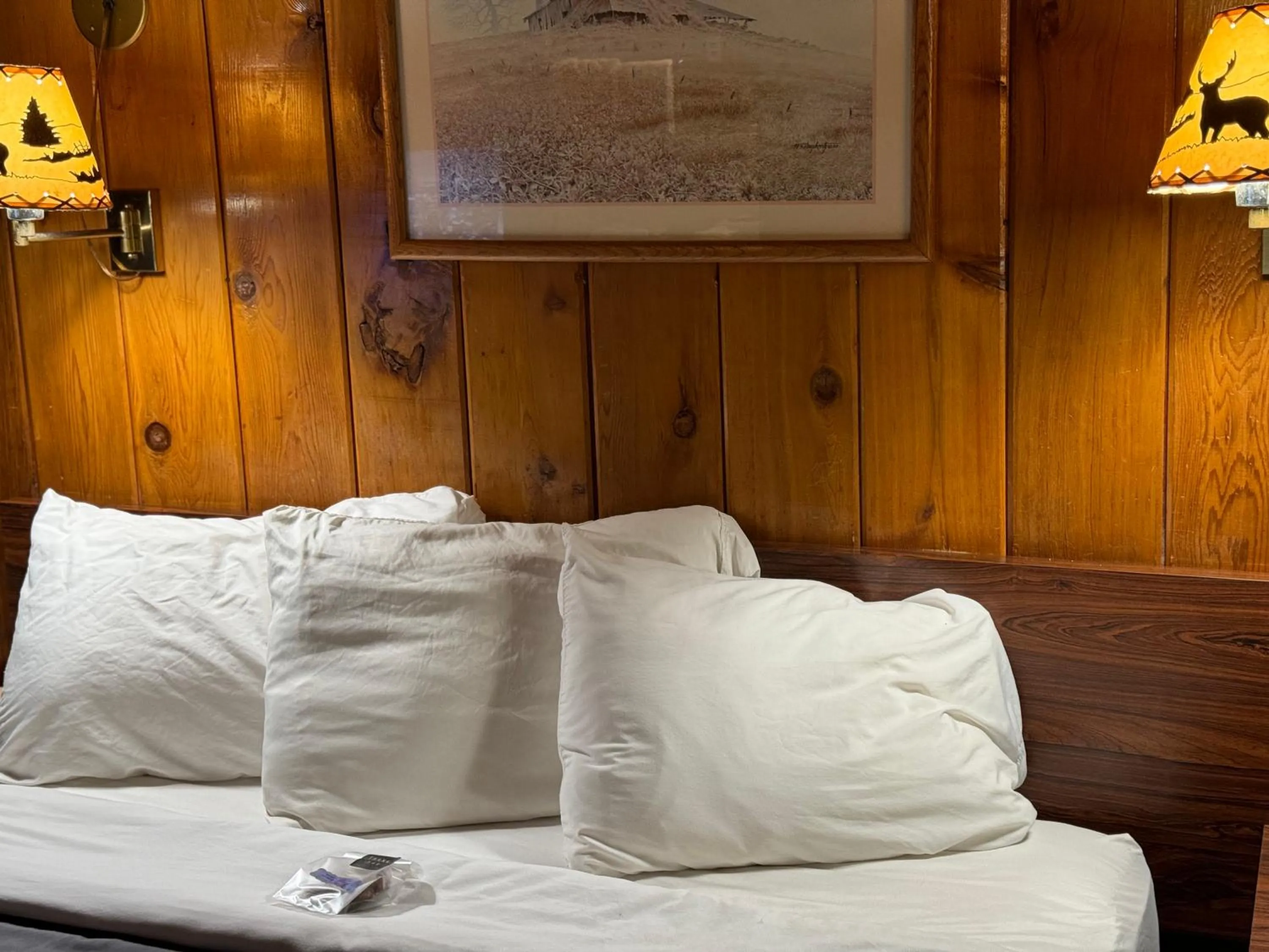 Bed in Kootenai Valley Motel