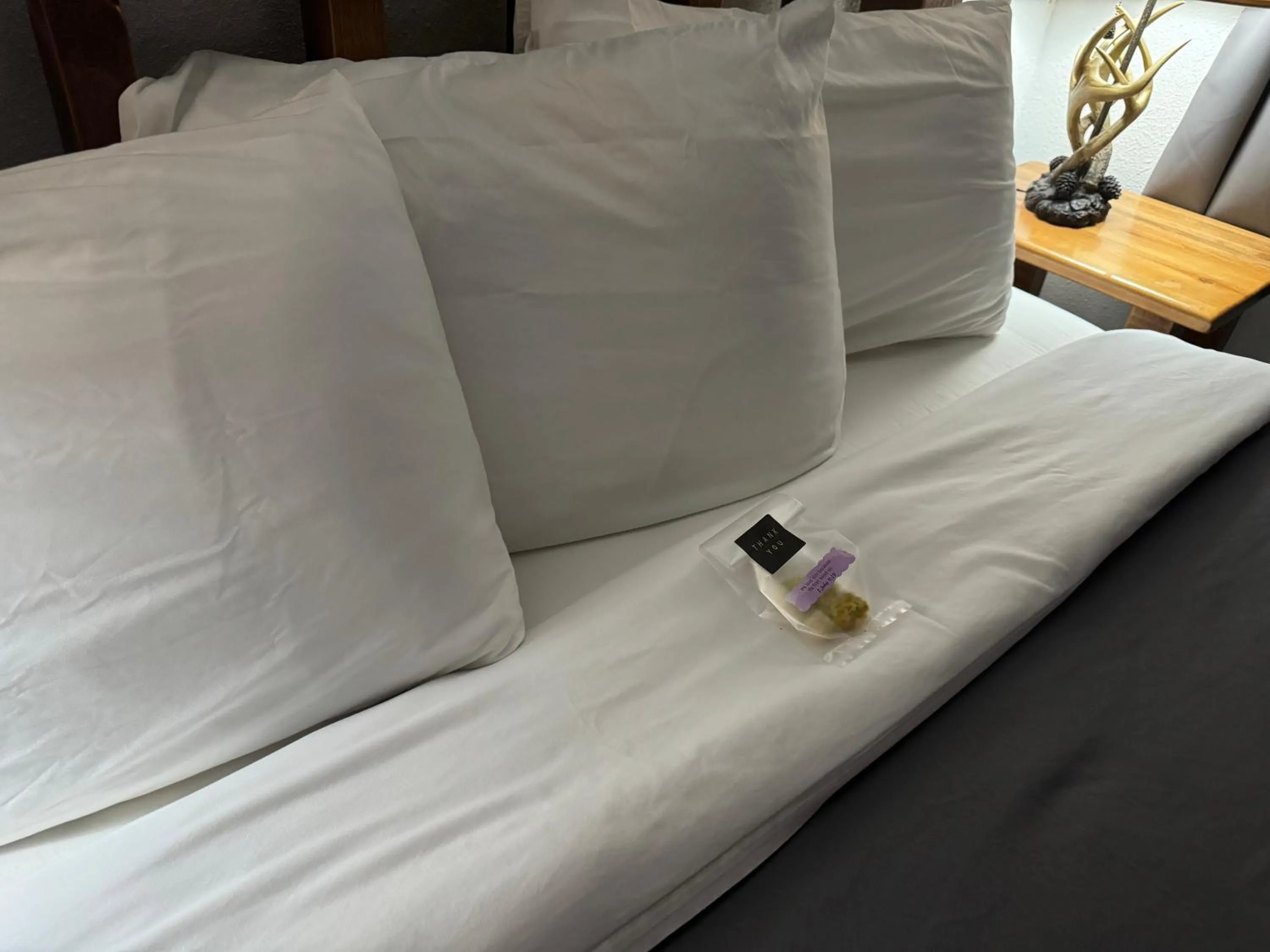 Bed in Kootenai Valley Motel