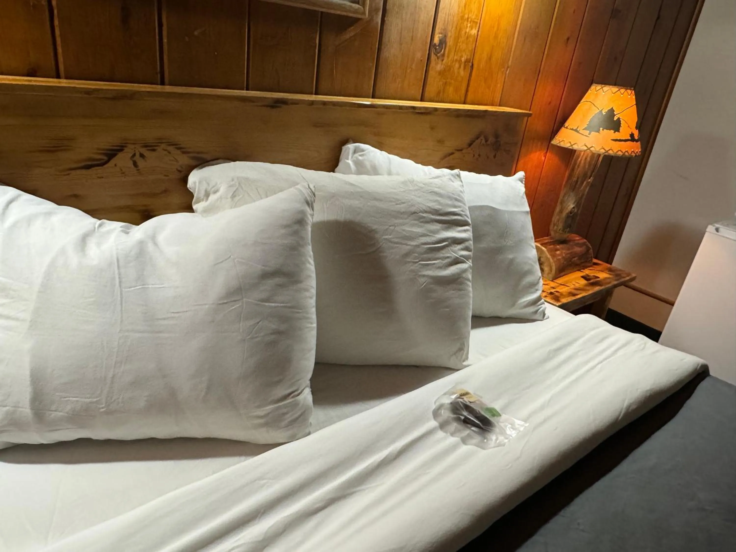 Bed in Kootenai Valley Motel