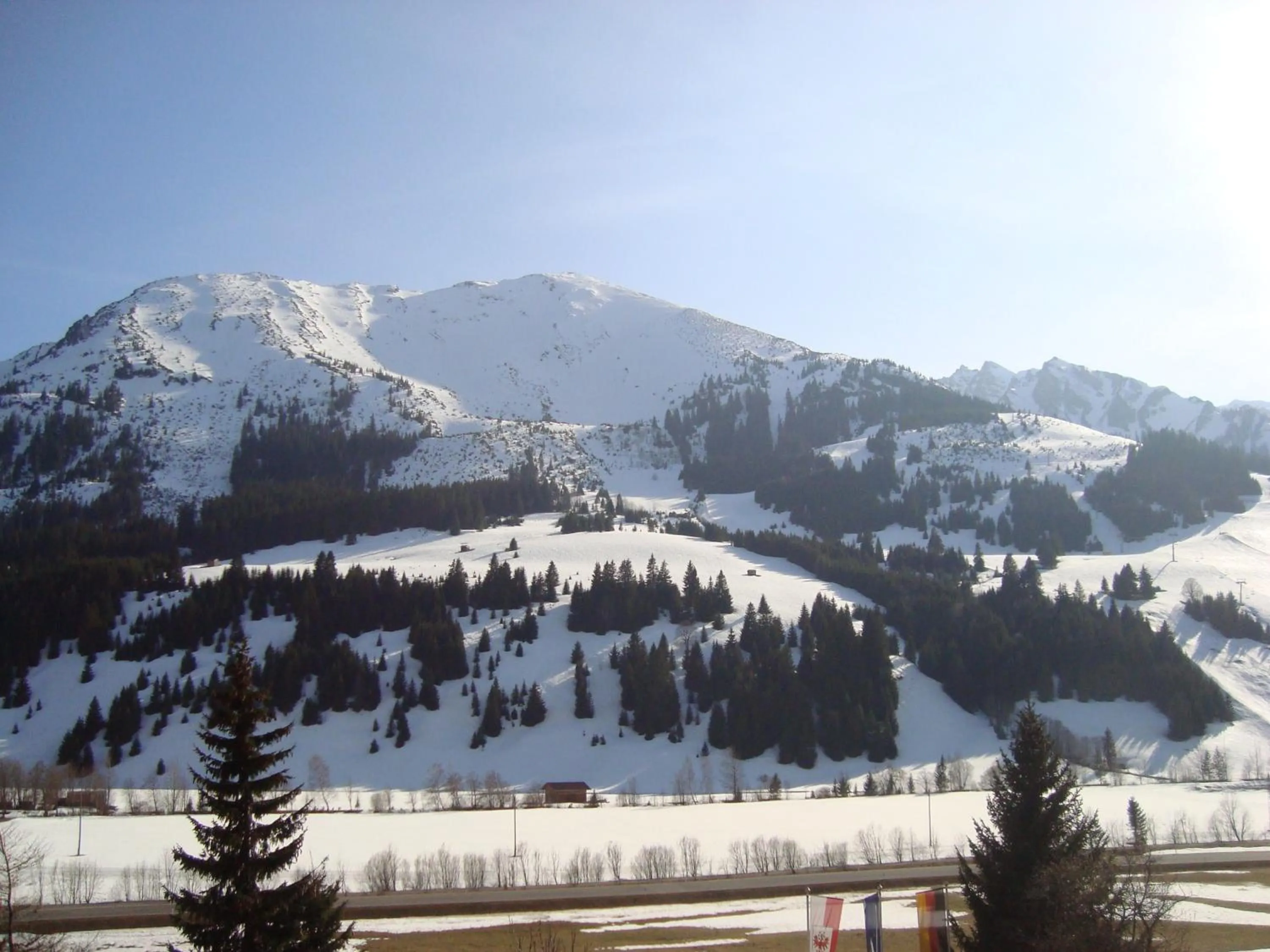 Natural landscape in Hotel Alpenrose