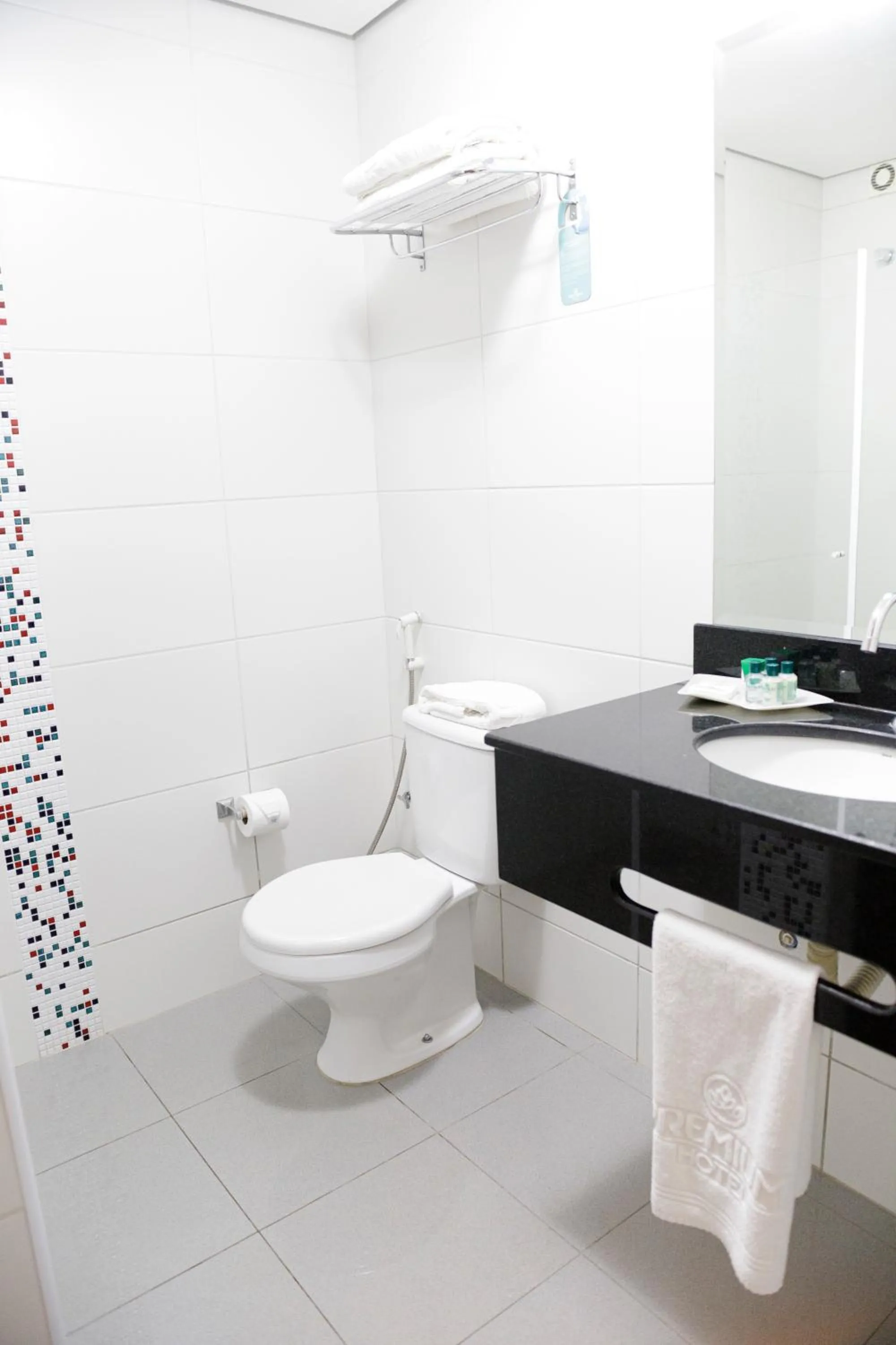Bathroom in Hotel Premium Pirassununga