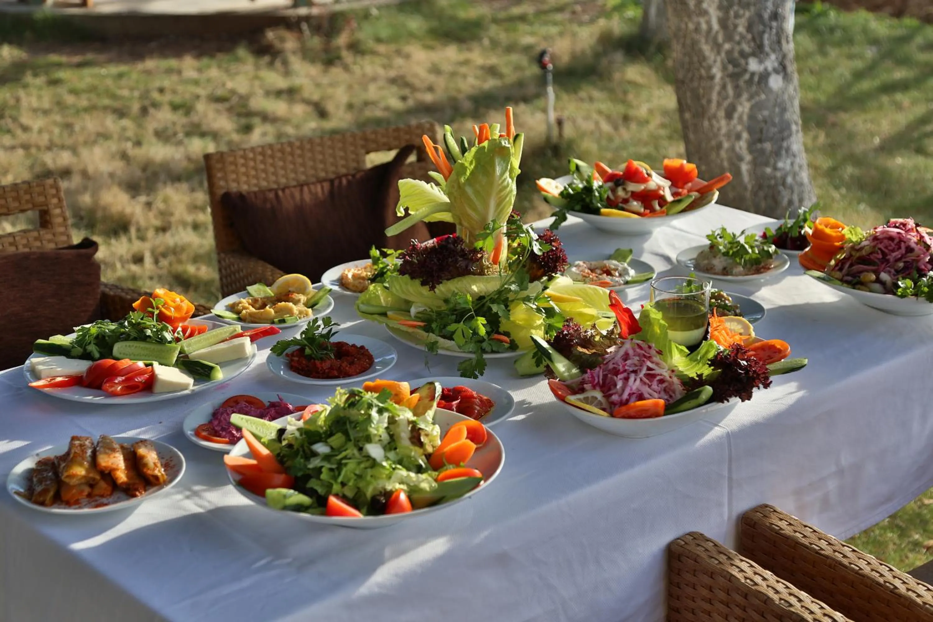 Garden in Grand Terme Hotel