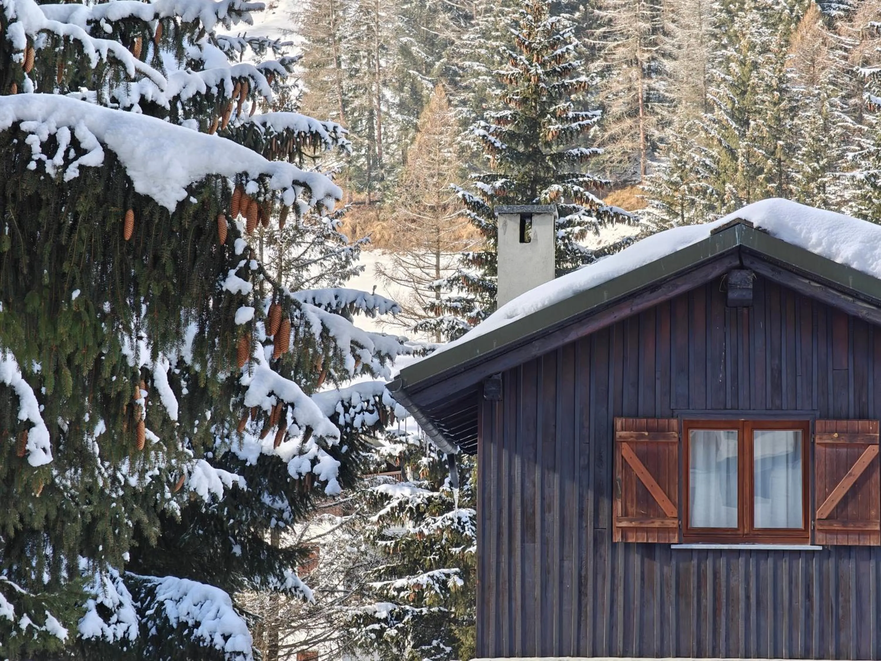 View (from property/room) in Residence Les Coupoles